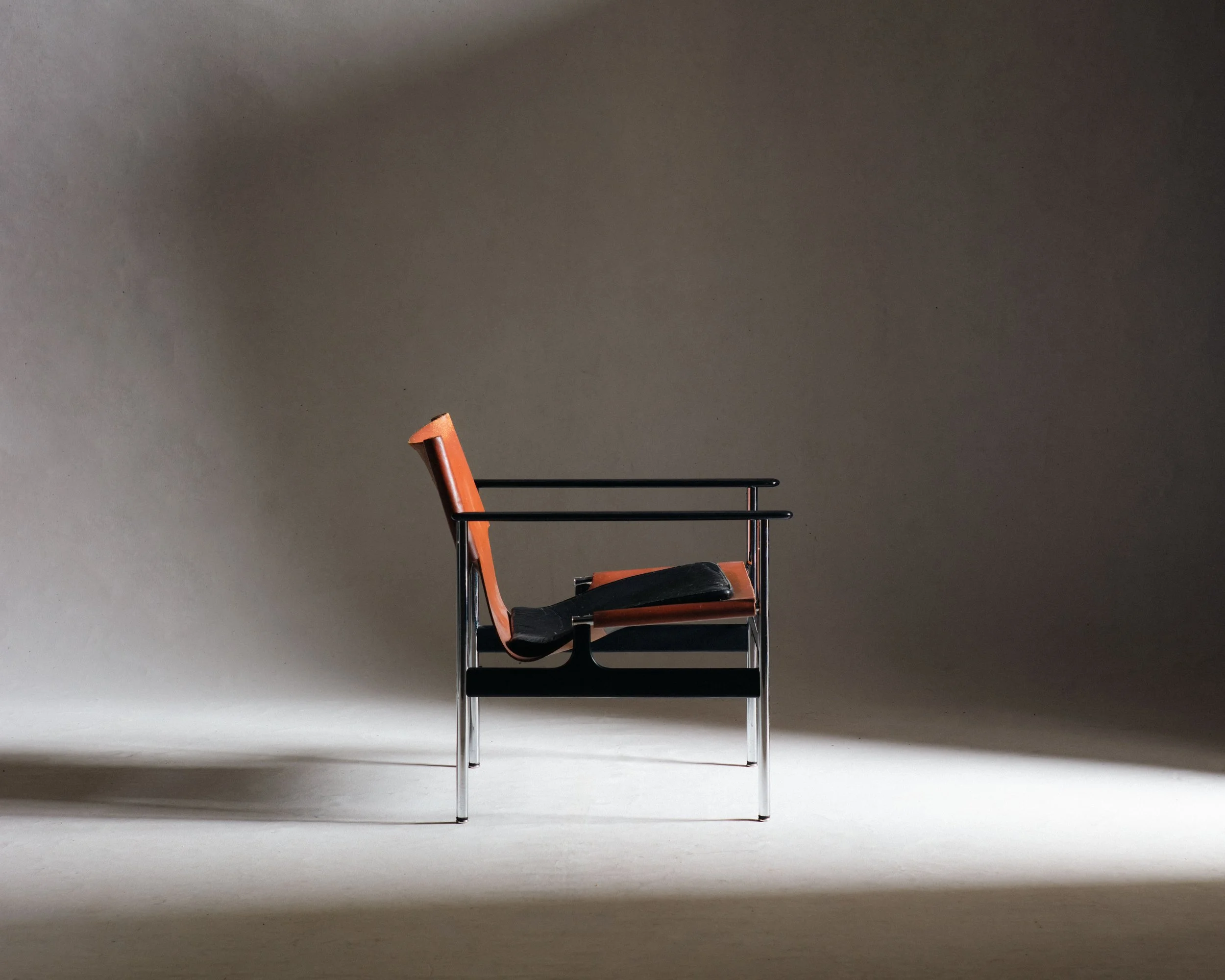 Molly Alexander 2026.03.312850.jpg