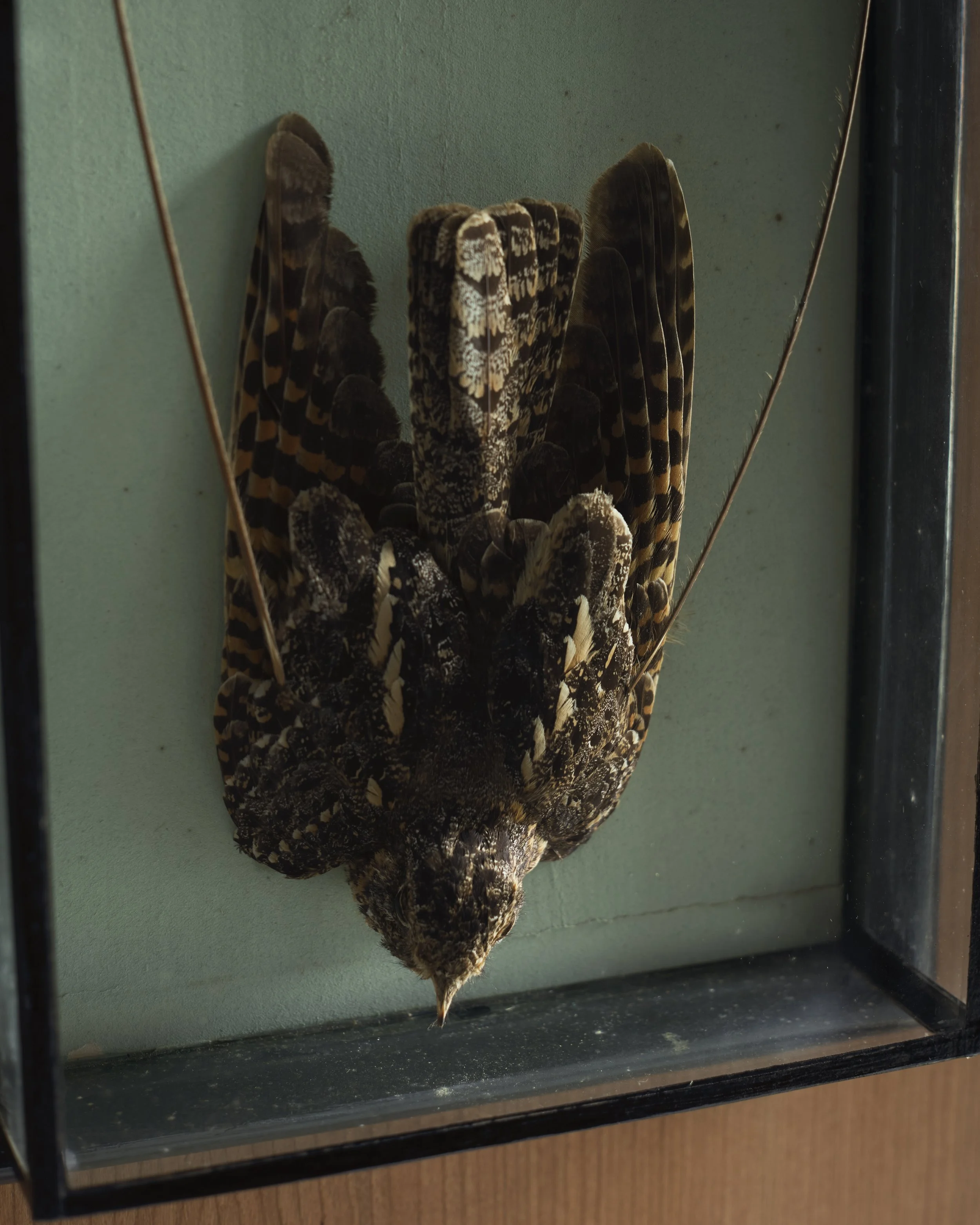 MA 23.10.250229 copyRT.jpg