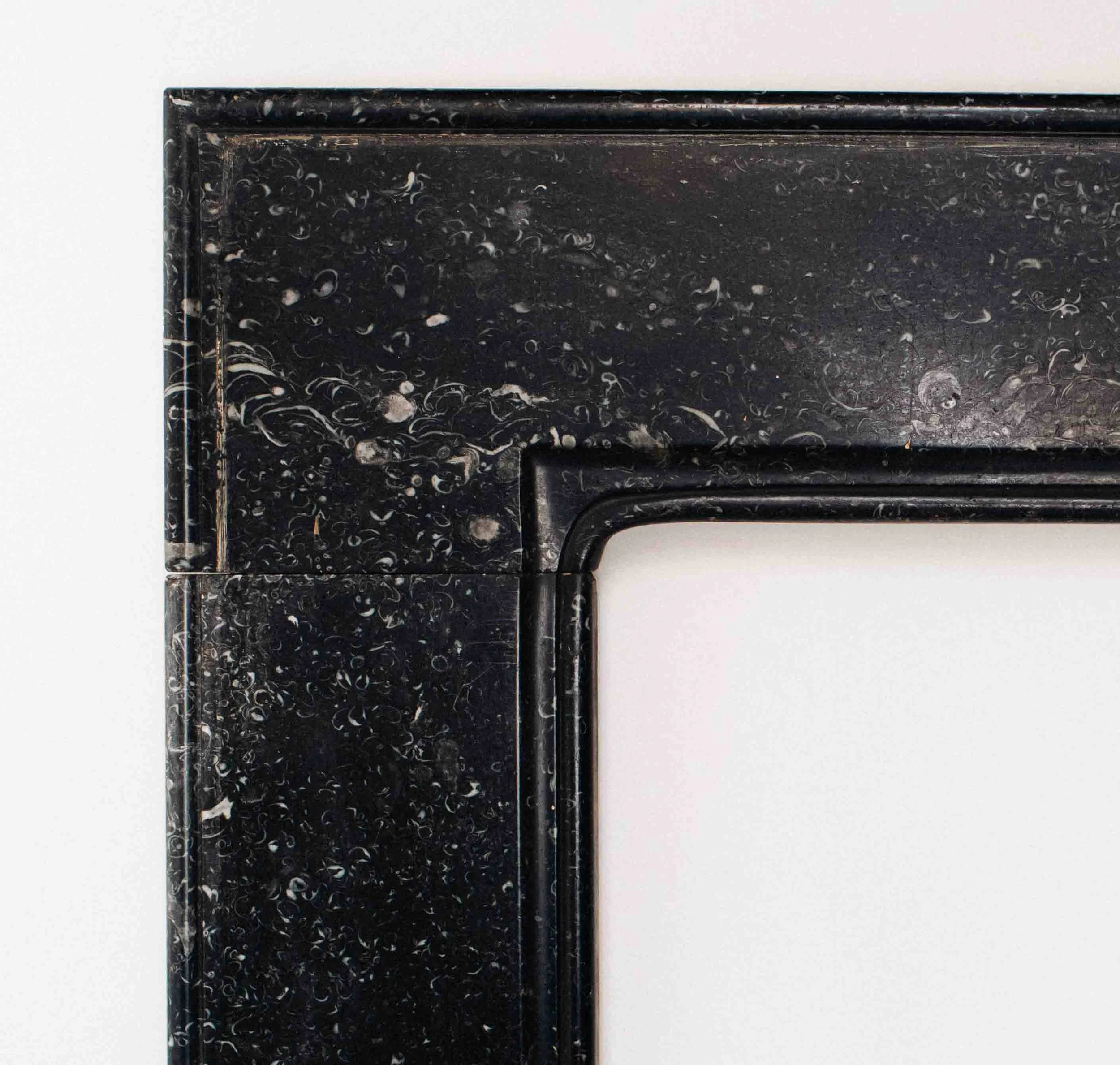 Molly Alexander 2026.03.302671.jpg