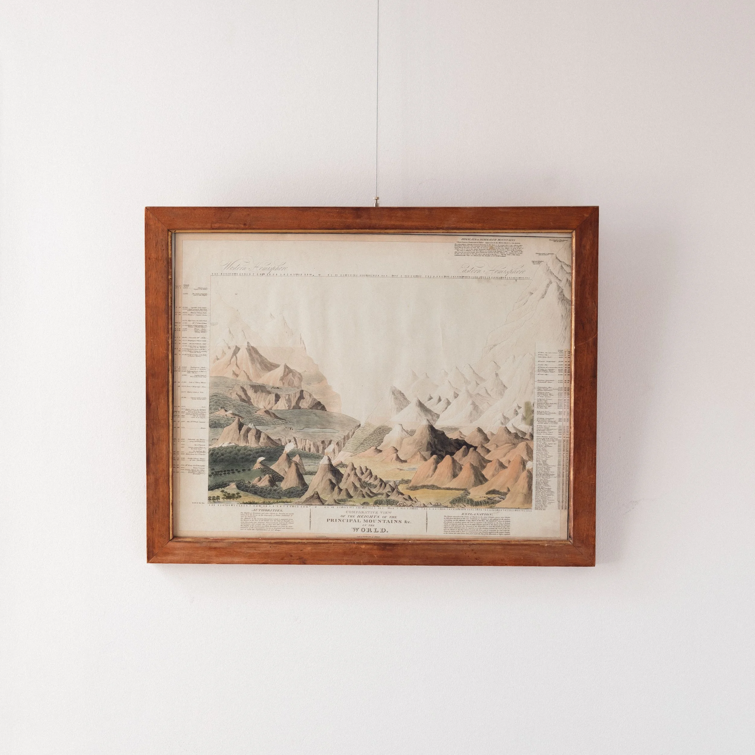 Molly Alexander 2026.03.302646.jpg