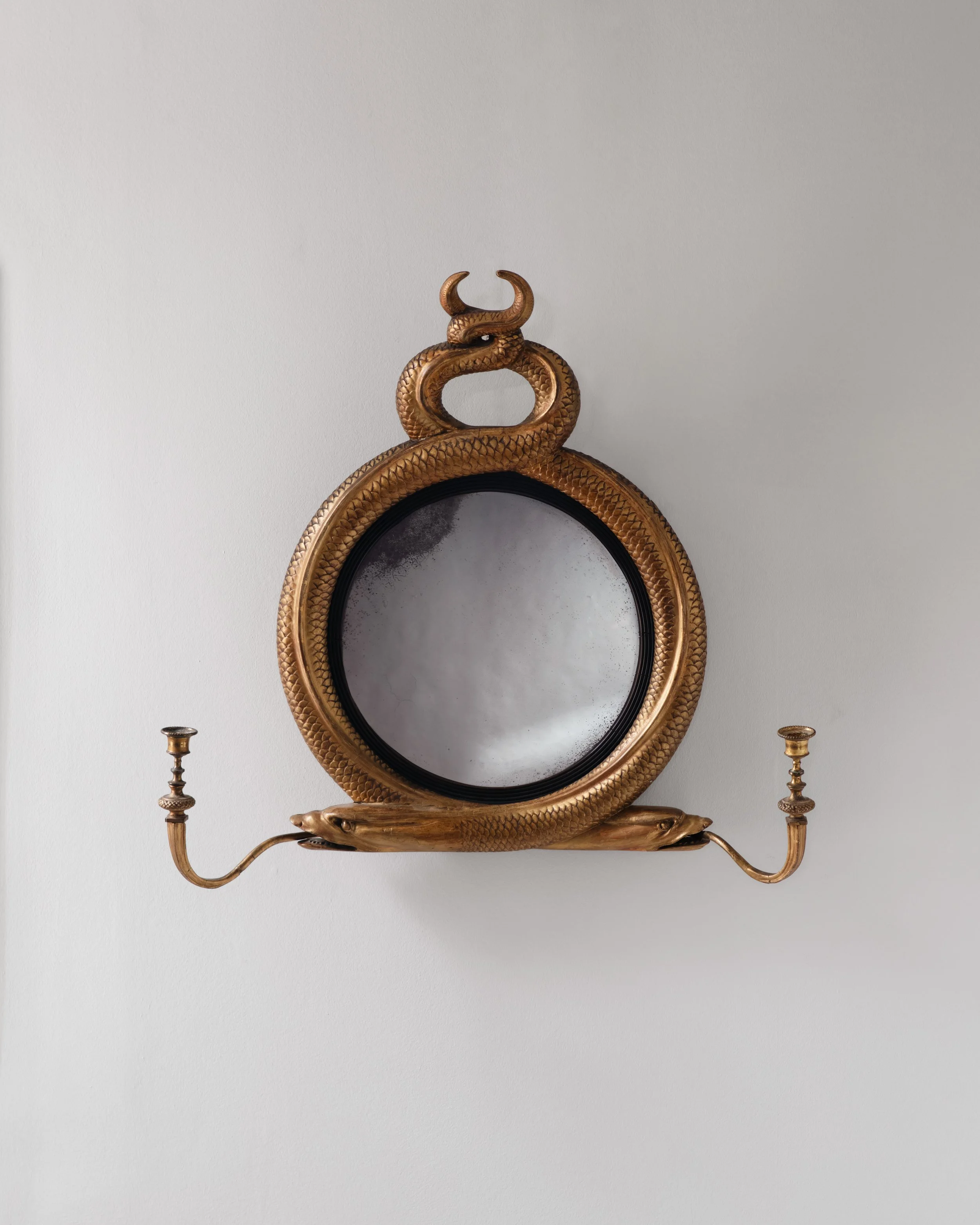 Molly 2026.02 11.jpg