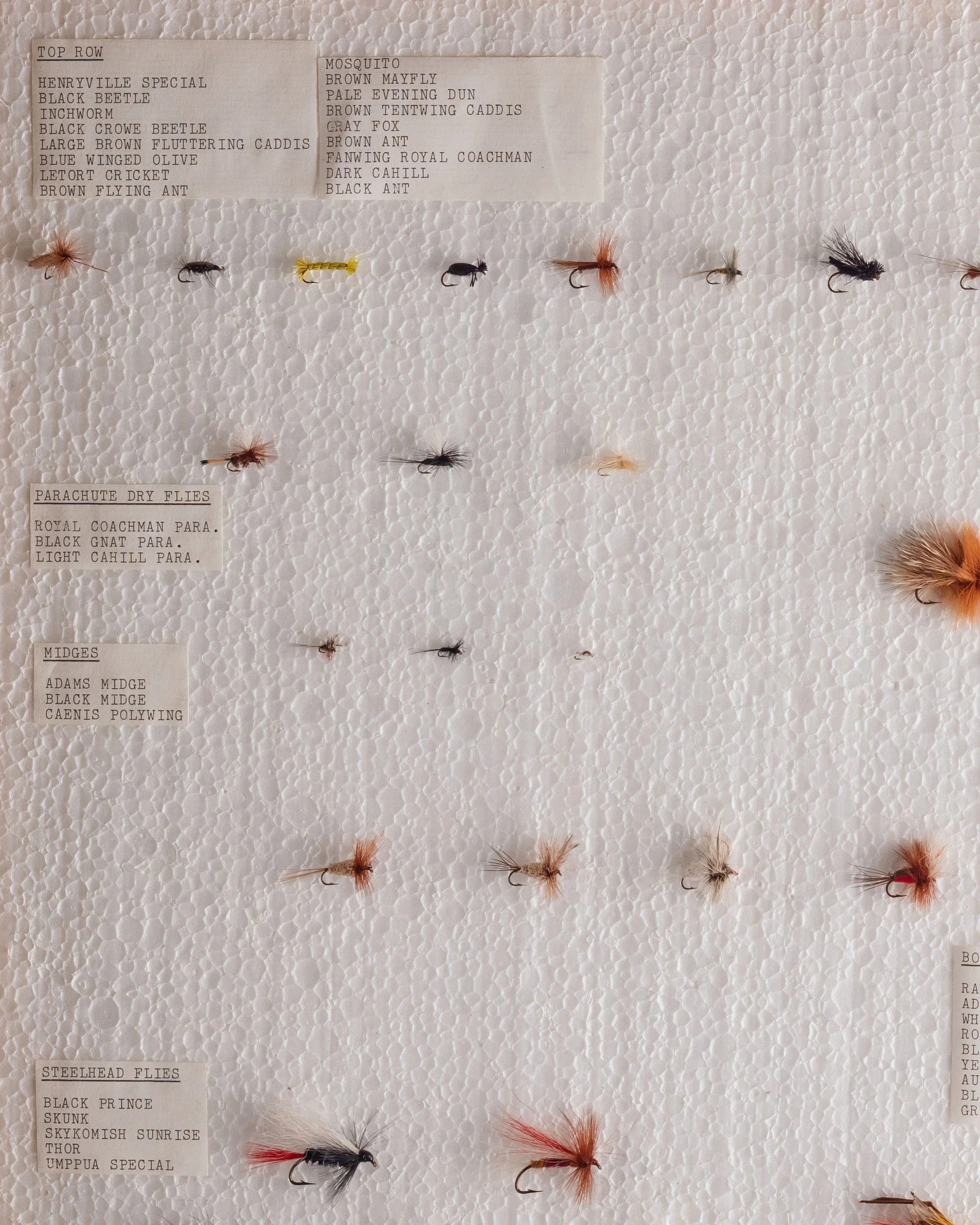 Molly Alexander 2026.03.302704.jpg