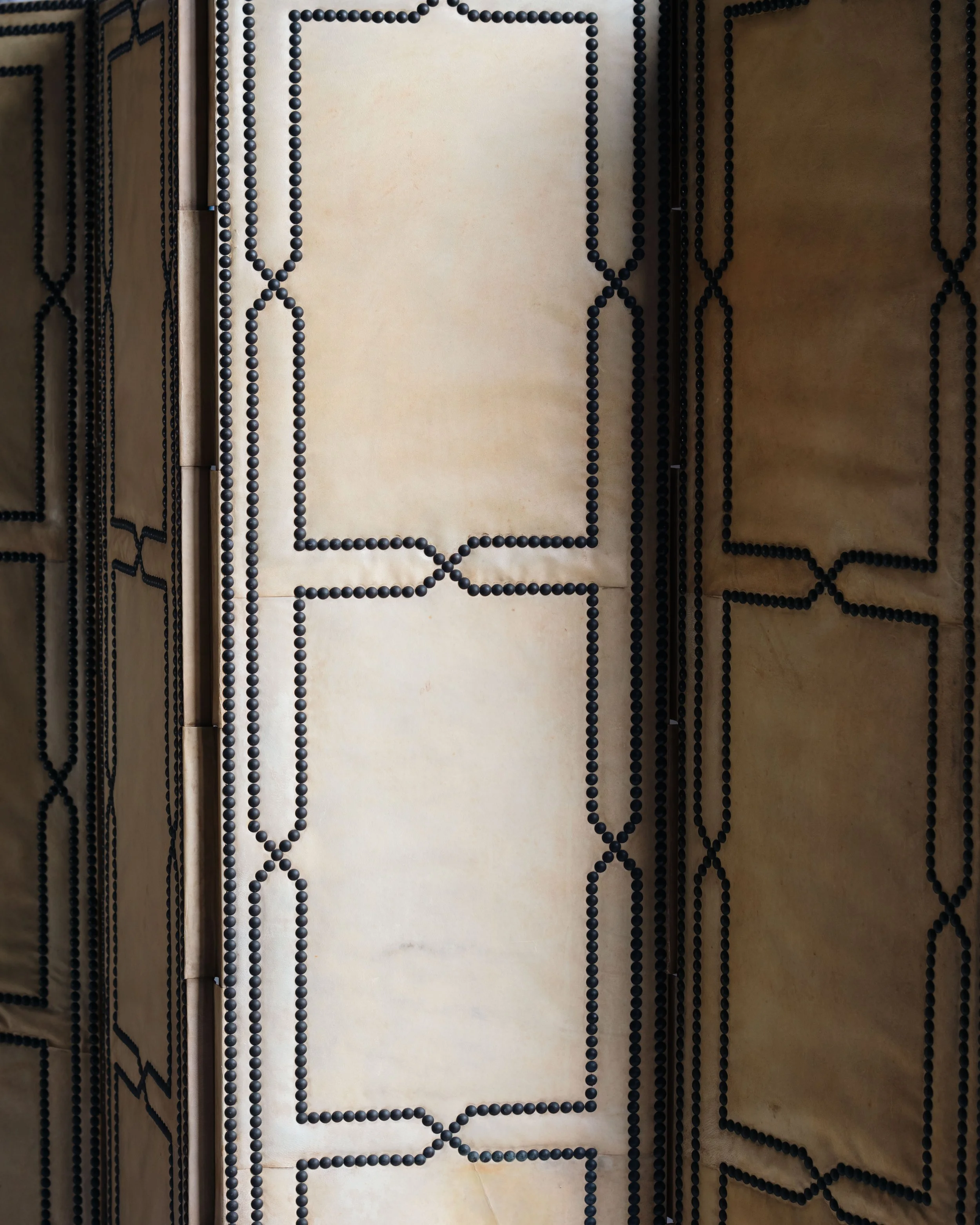 Molly Alexander 2026.03.312864.jpg