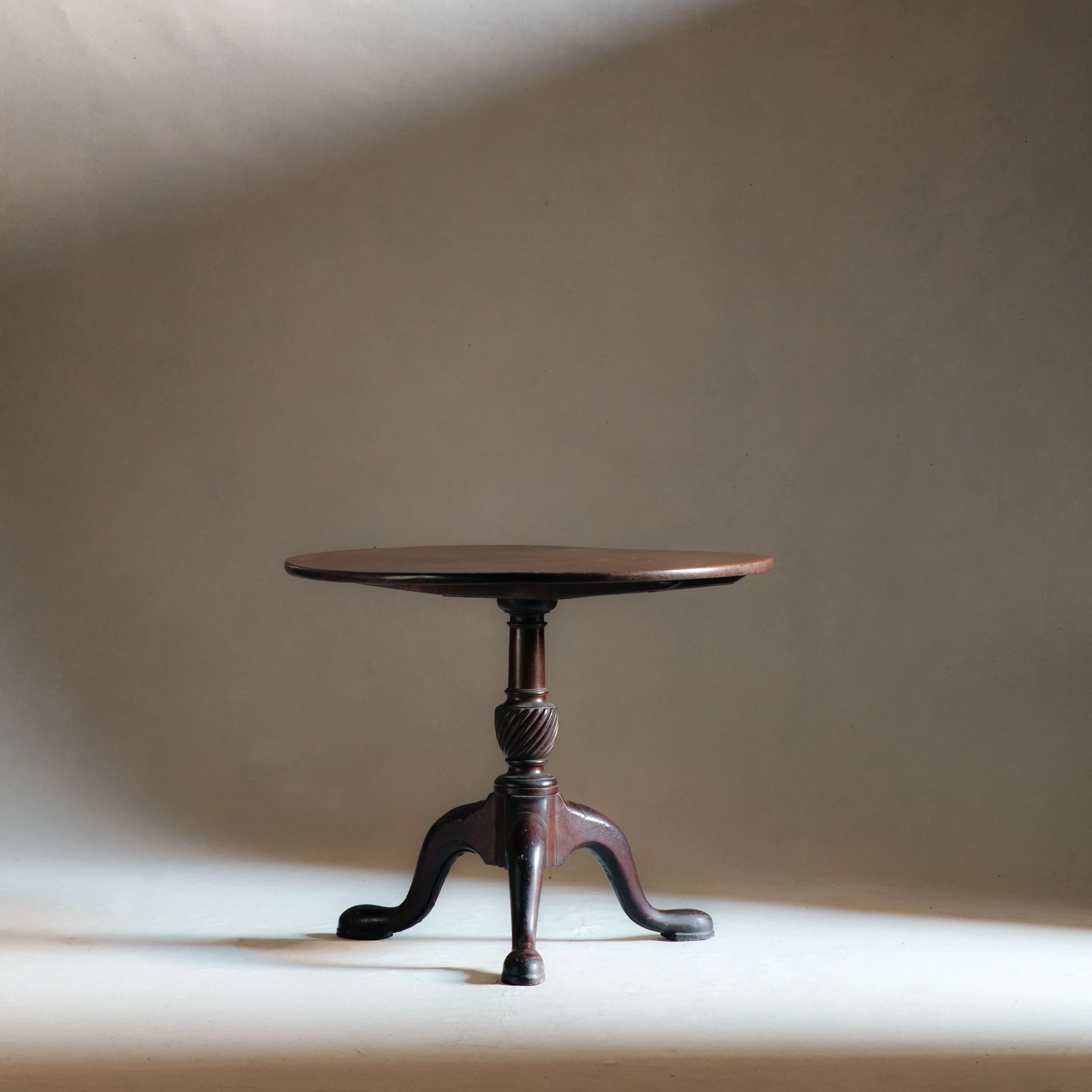 Molly Alexander 2026.03.313034.jpg