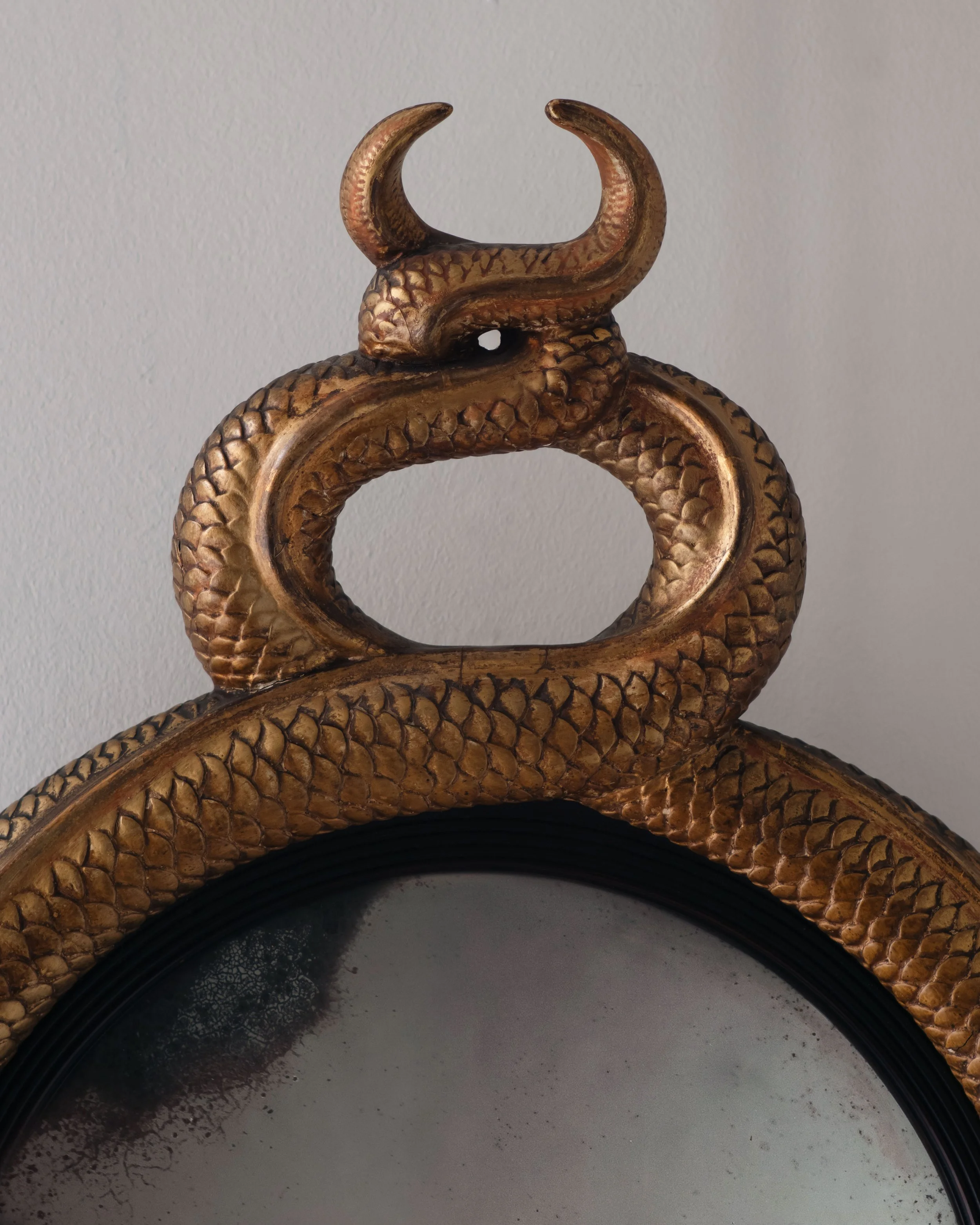 Molly 2026.02.211308.jpg