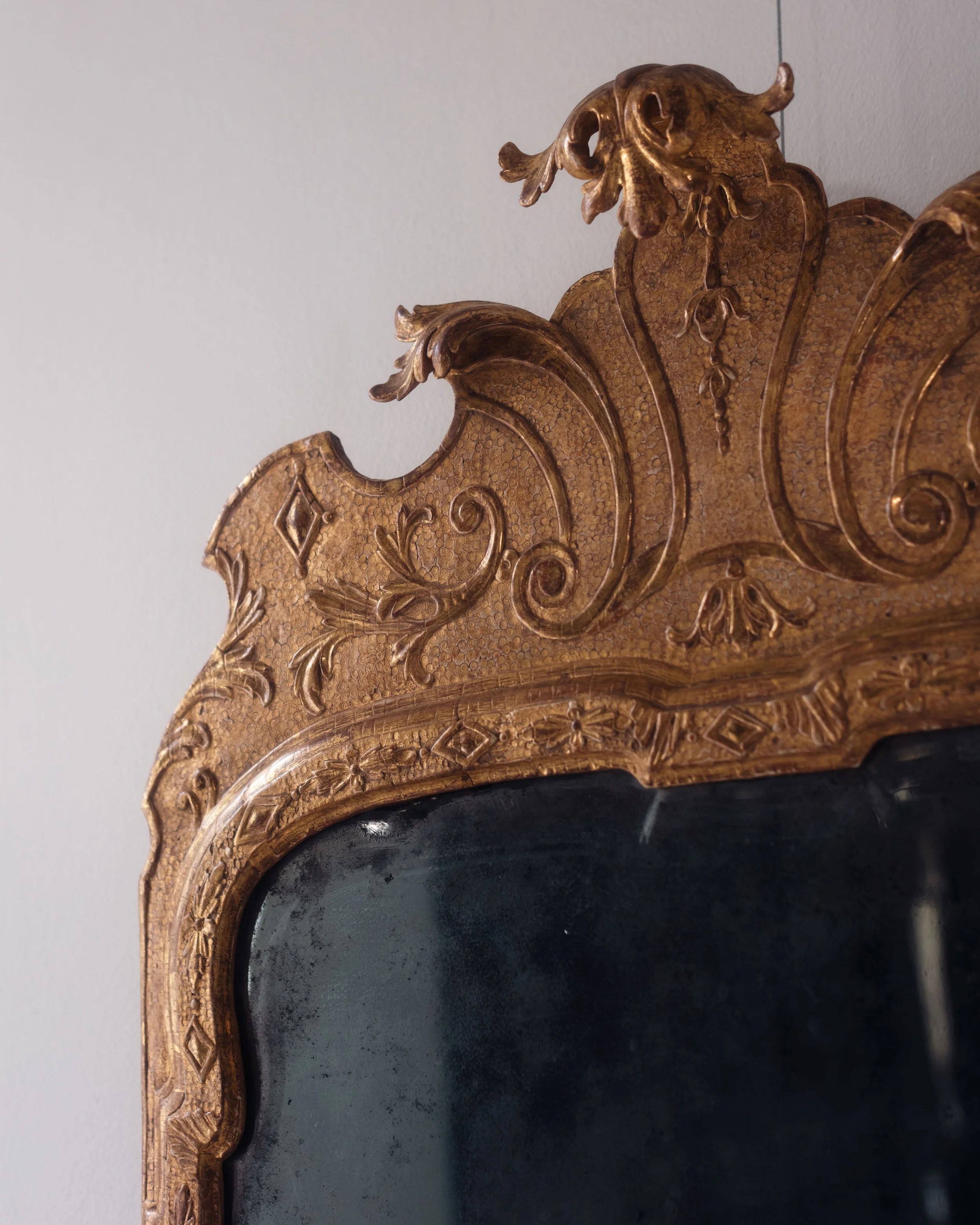 Molly Alexander 2026.03.302562.jpg