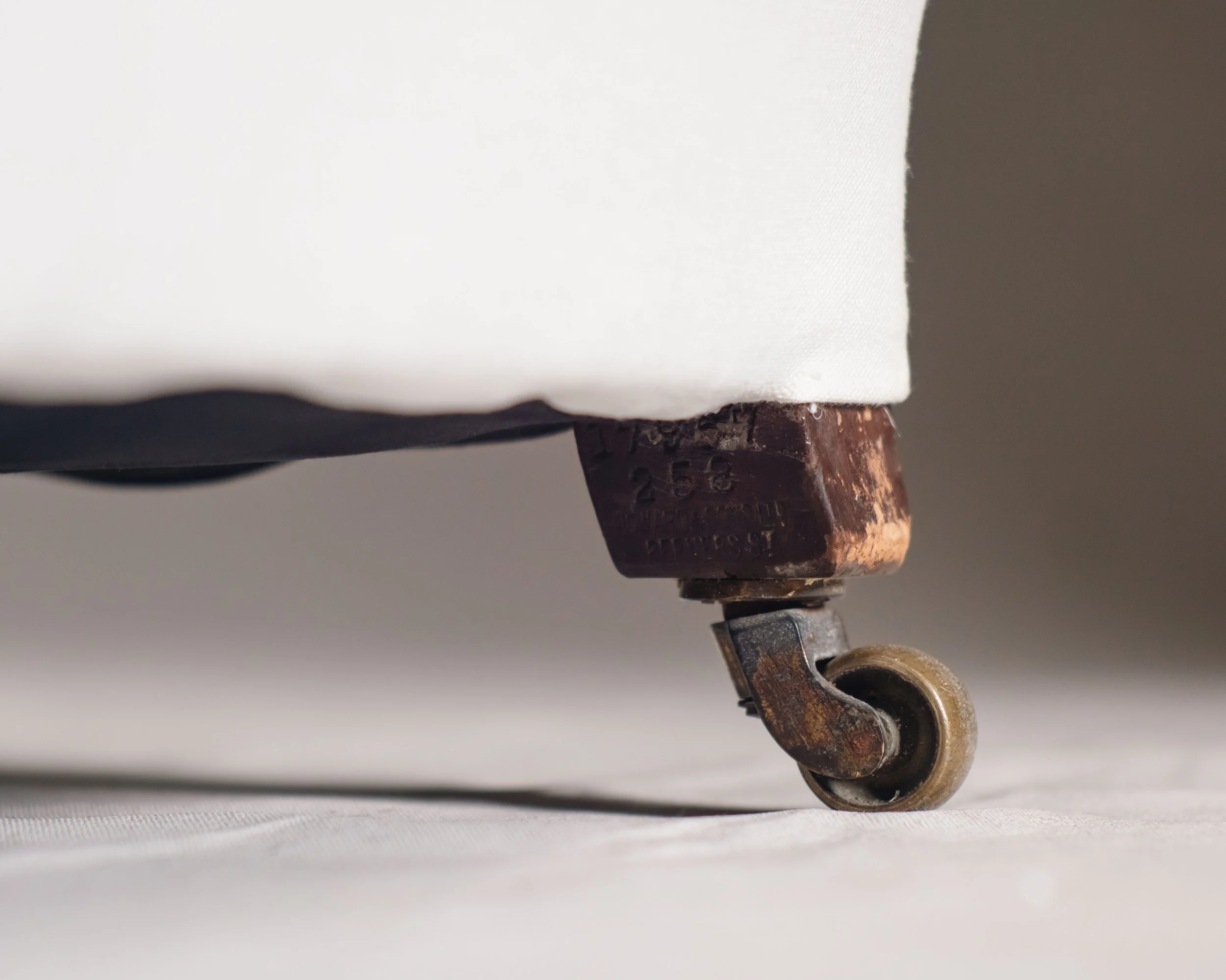 Molly Alexander 2026.03.312920.jpg