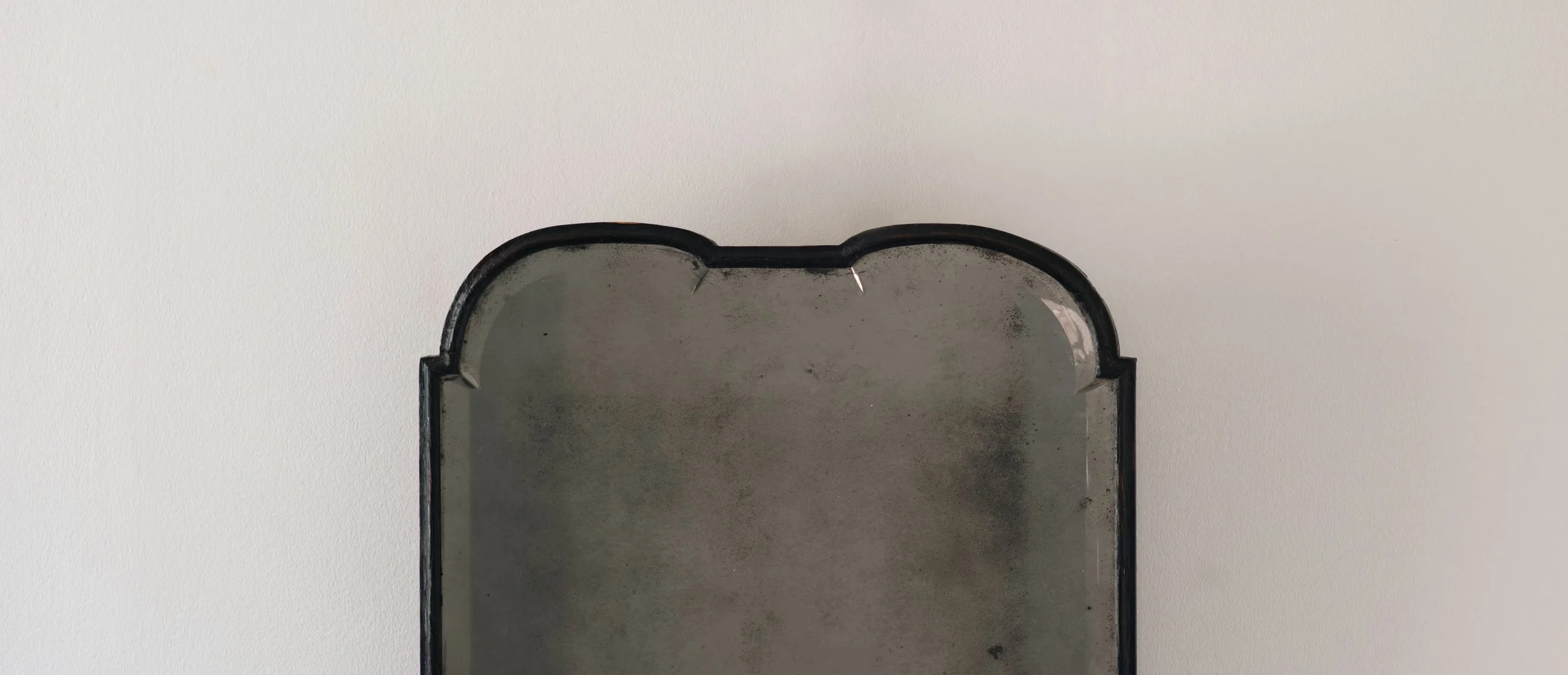 Molly 2026.02.211340.jpg