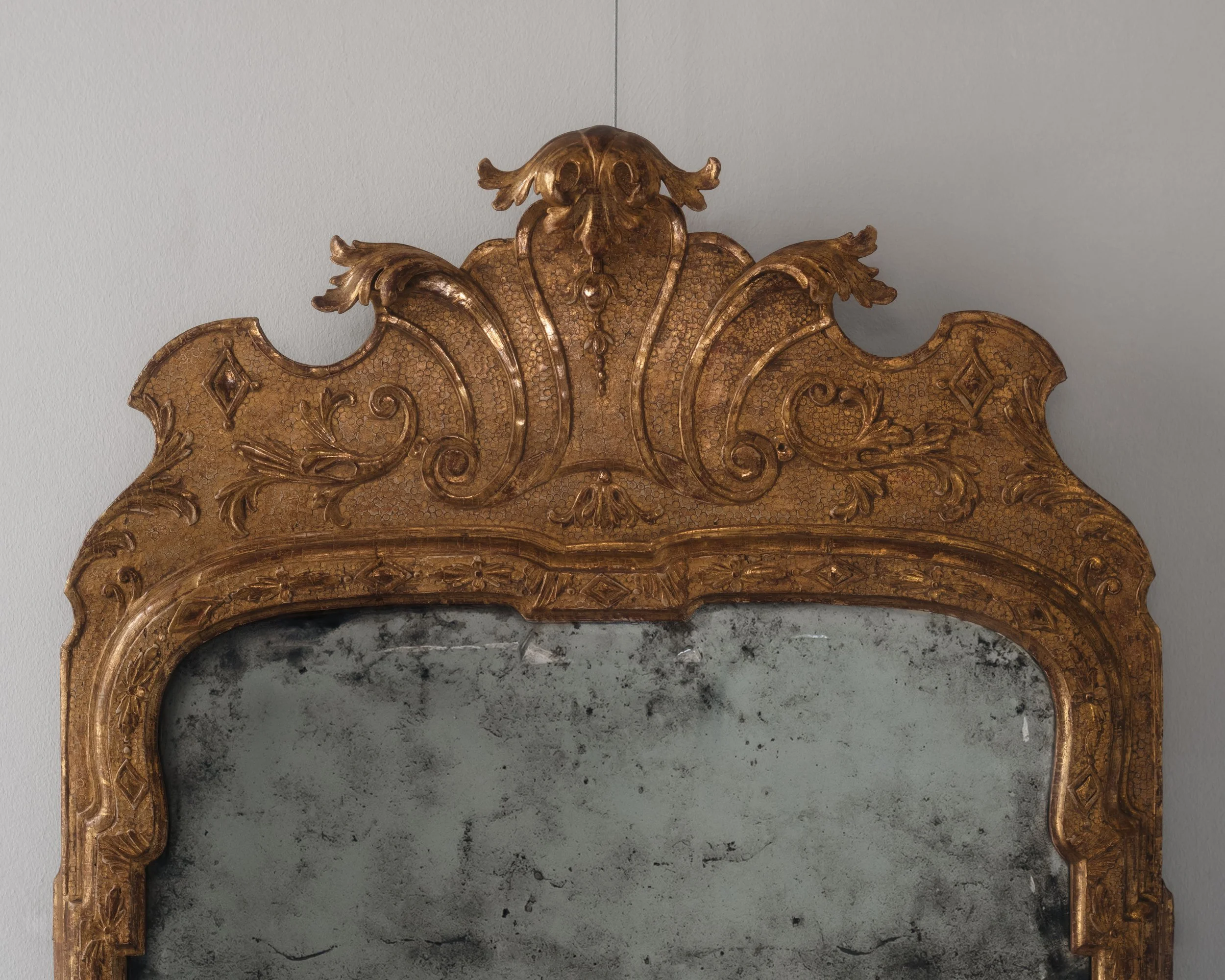 Molly Alexander 2026.03.302573.jpg