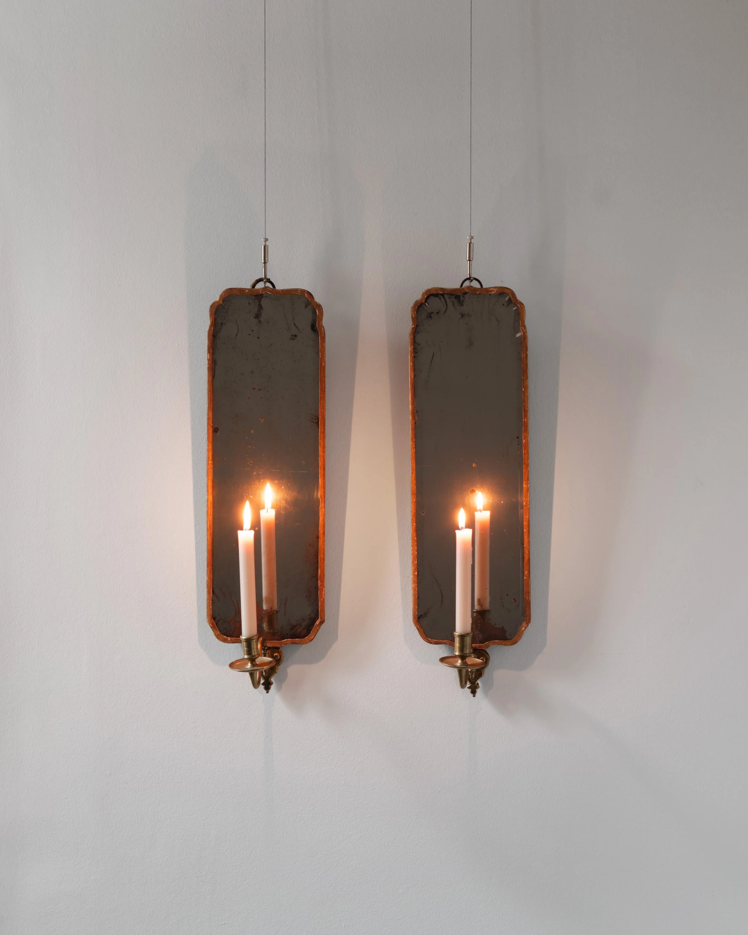 Molly 2026.02 18.jpg