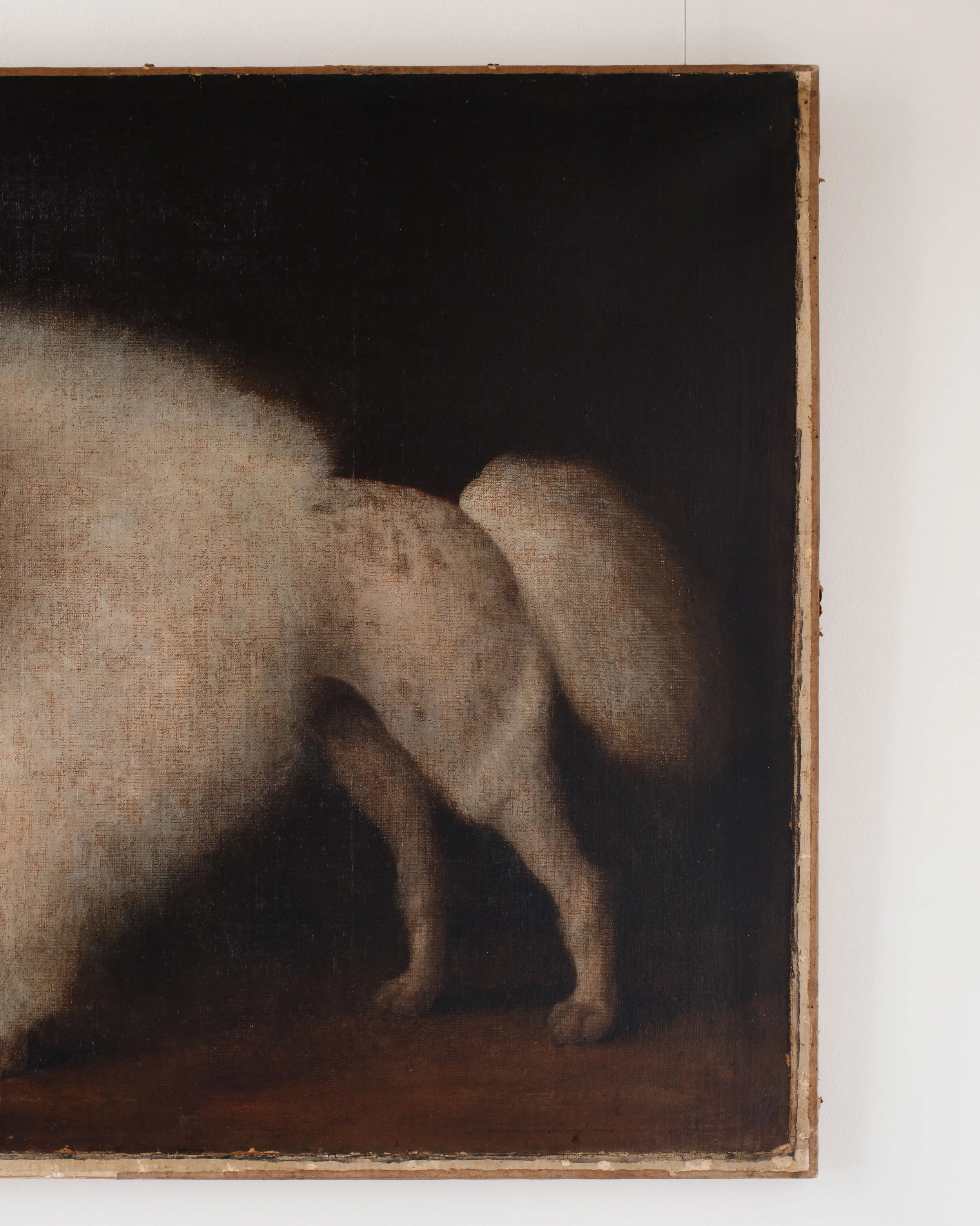 Molly 2026.02.211373.jpg