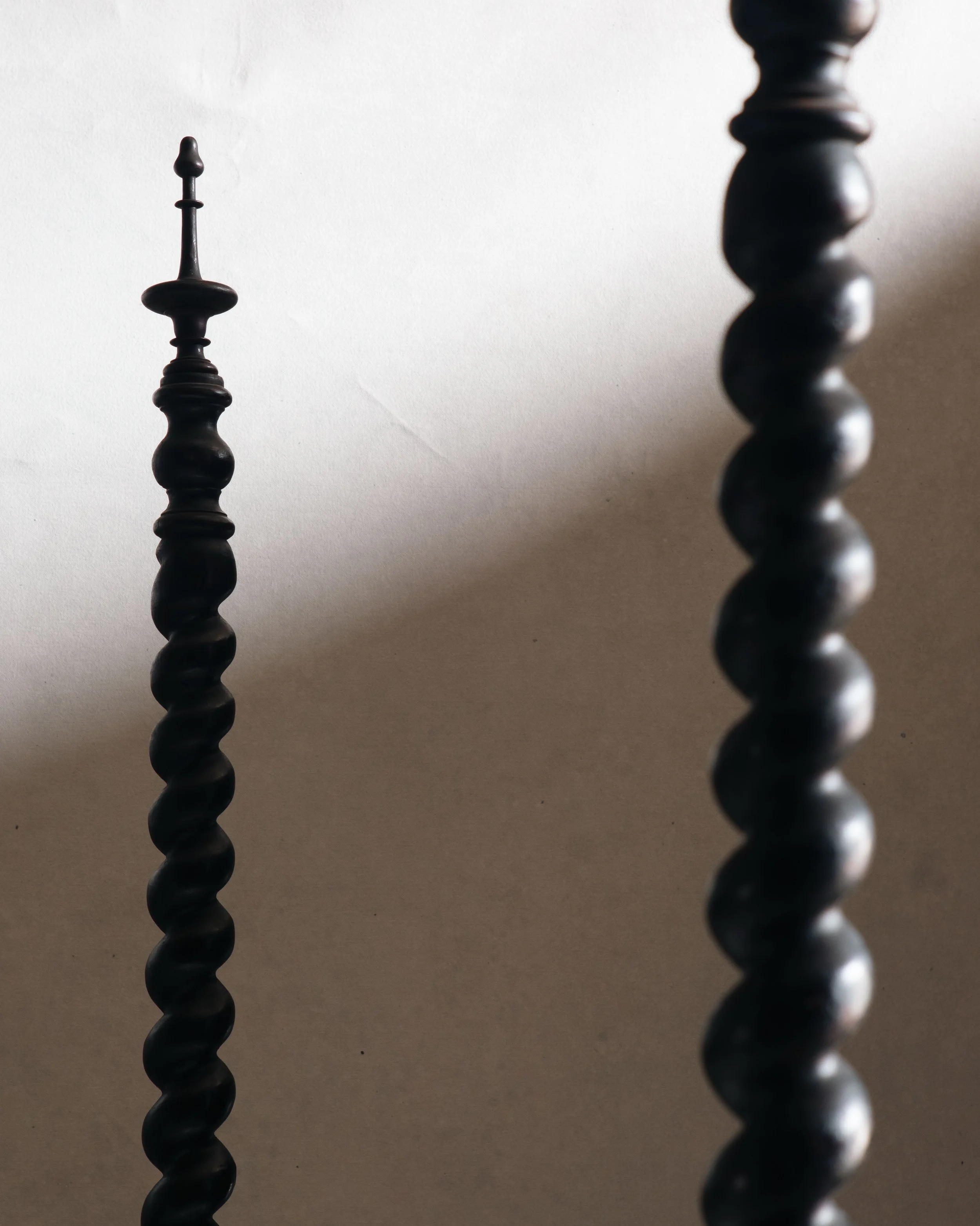 Molly Alexander 2026.03.312842.jpg