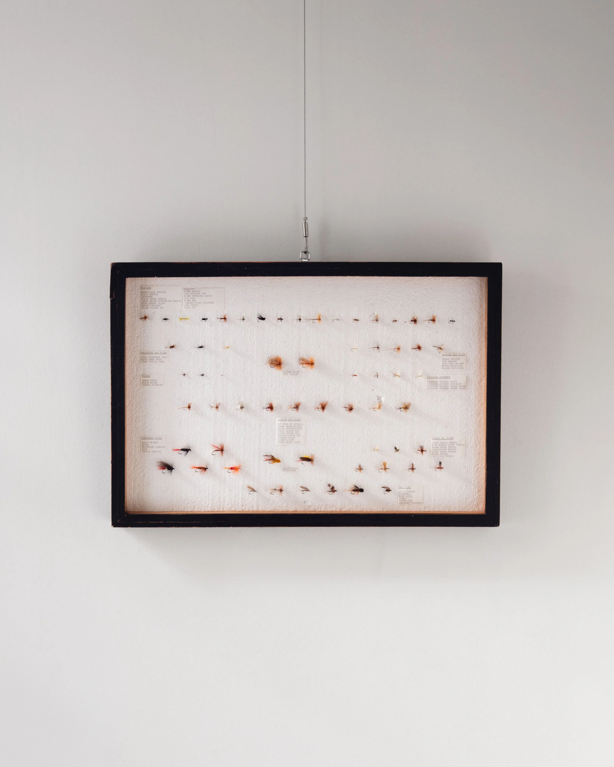 Molly Alexander 2026.03.302695.jpg