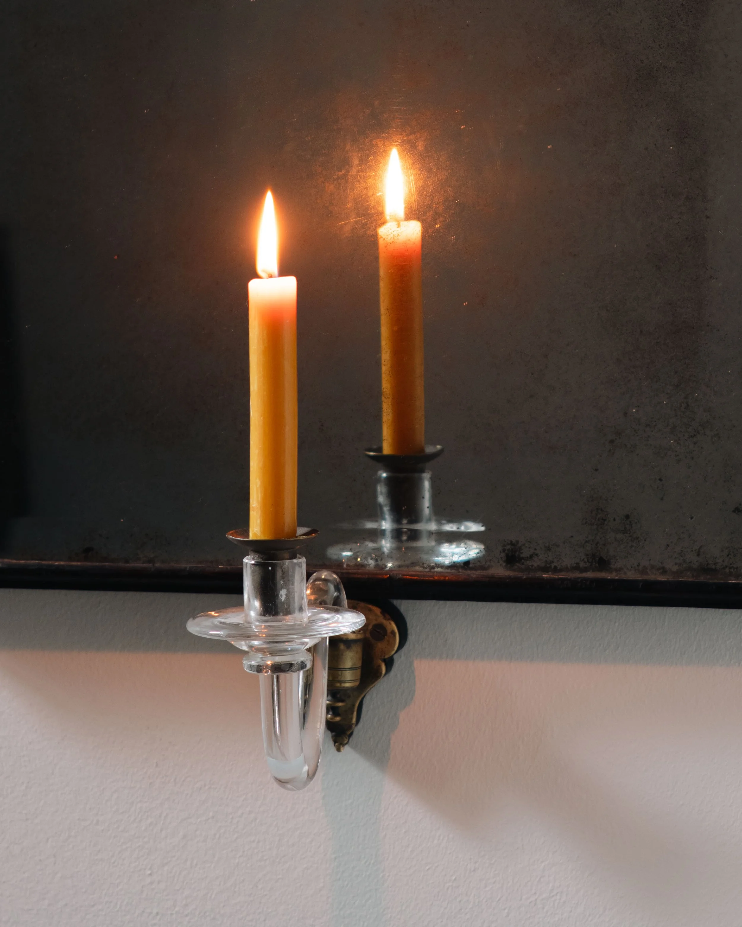 Molly 2026.02.211334.jpg