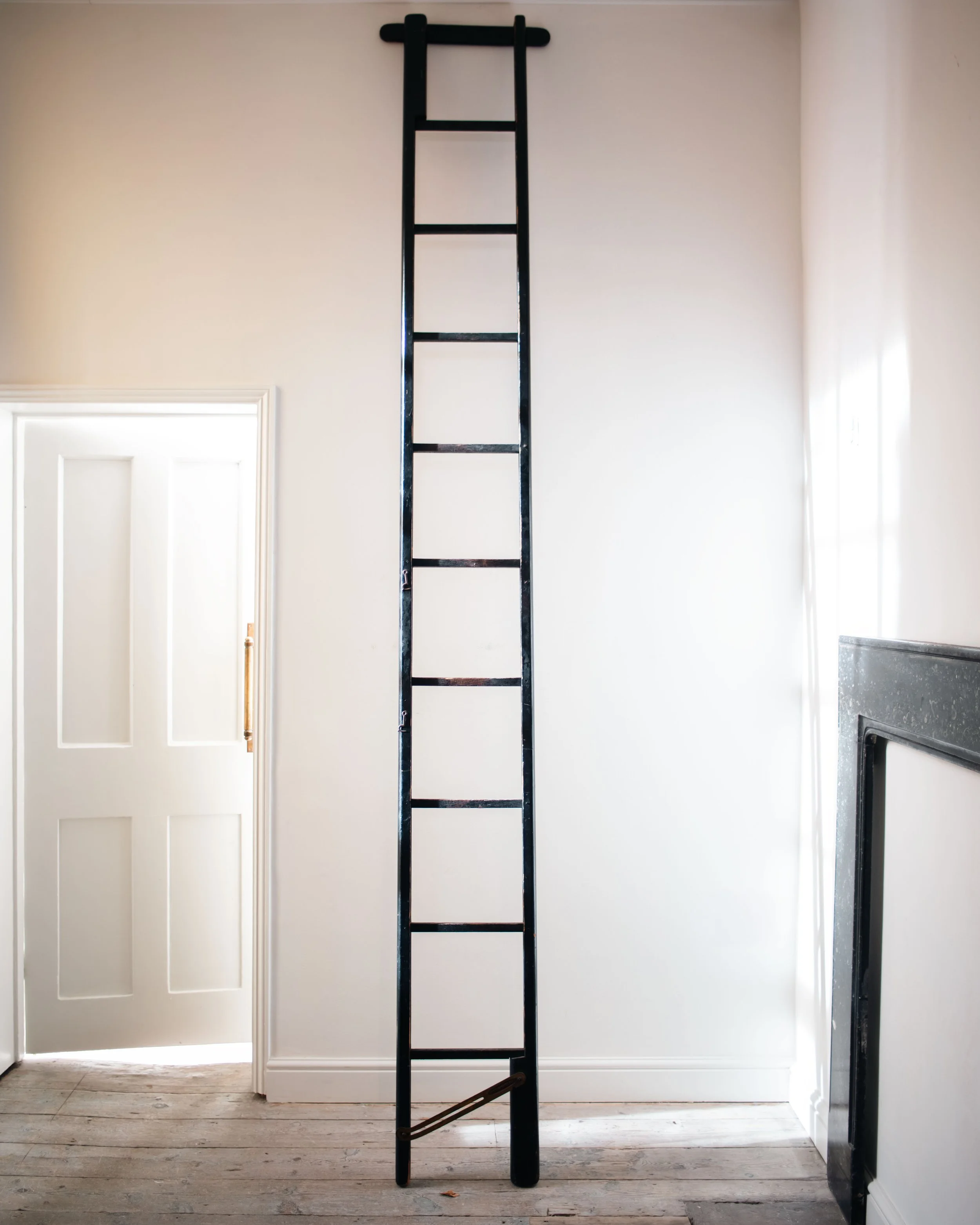 Molly Alexander 2026.03.302686.jpg