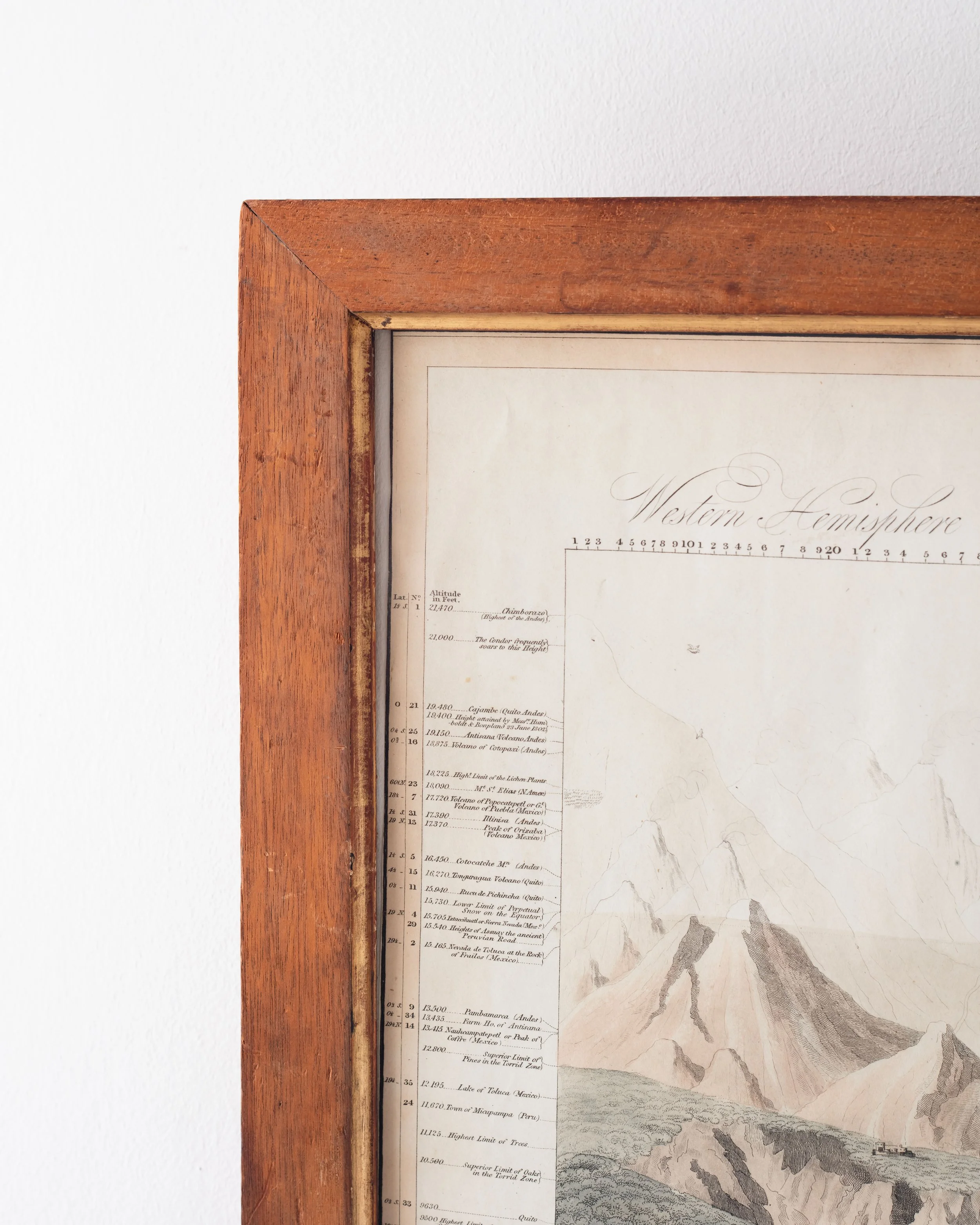 Molly Alexander 2026.03.302651.jpg