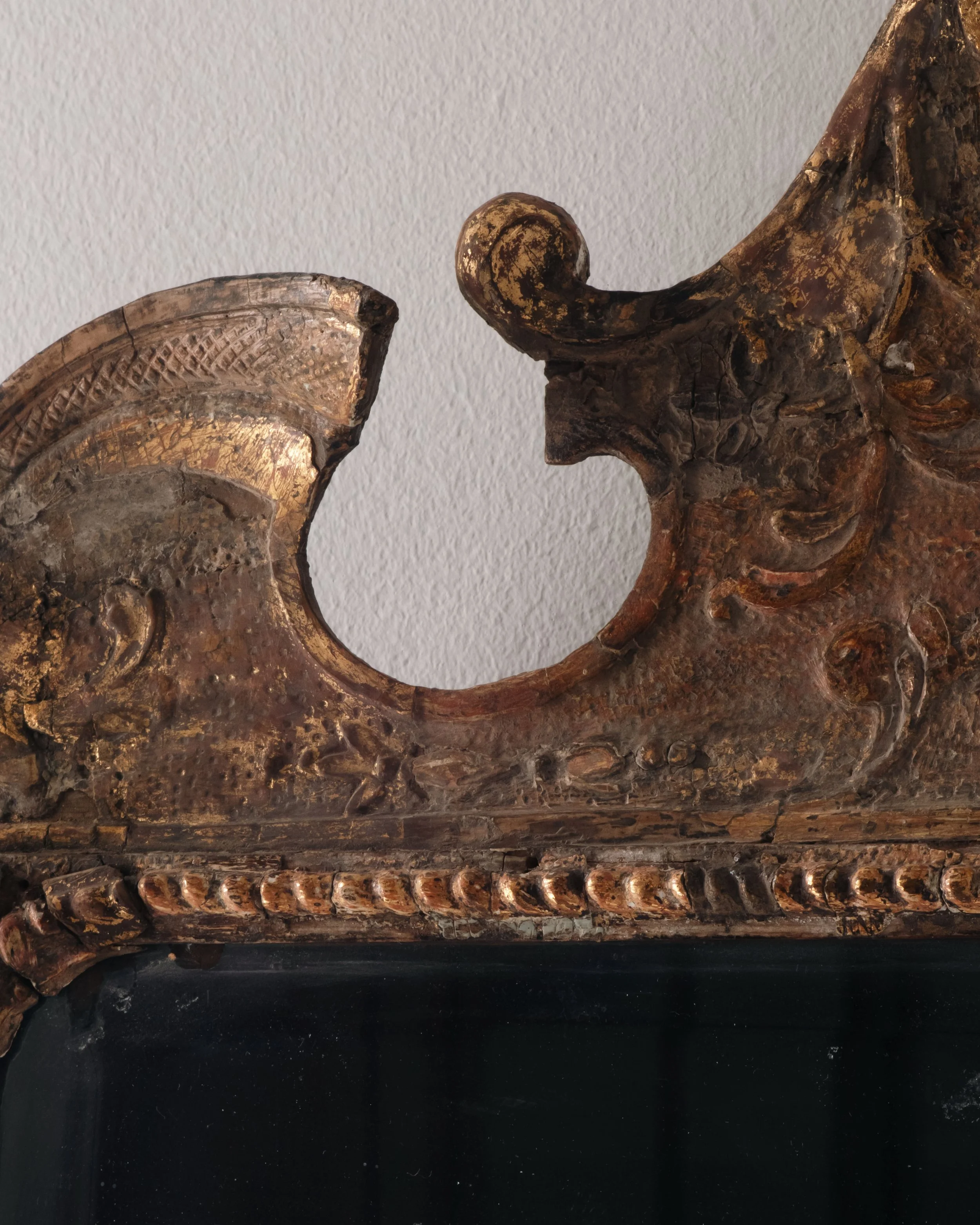 Molly 2026.02.211292.jpg