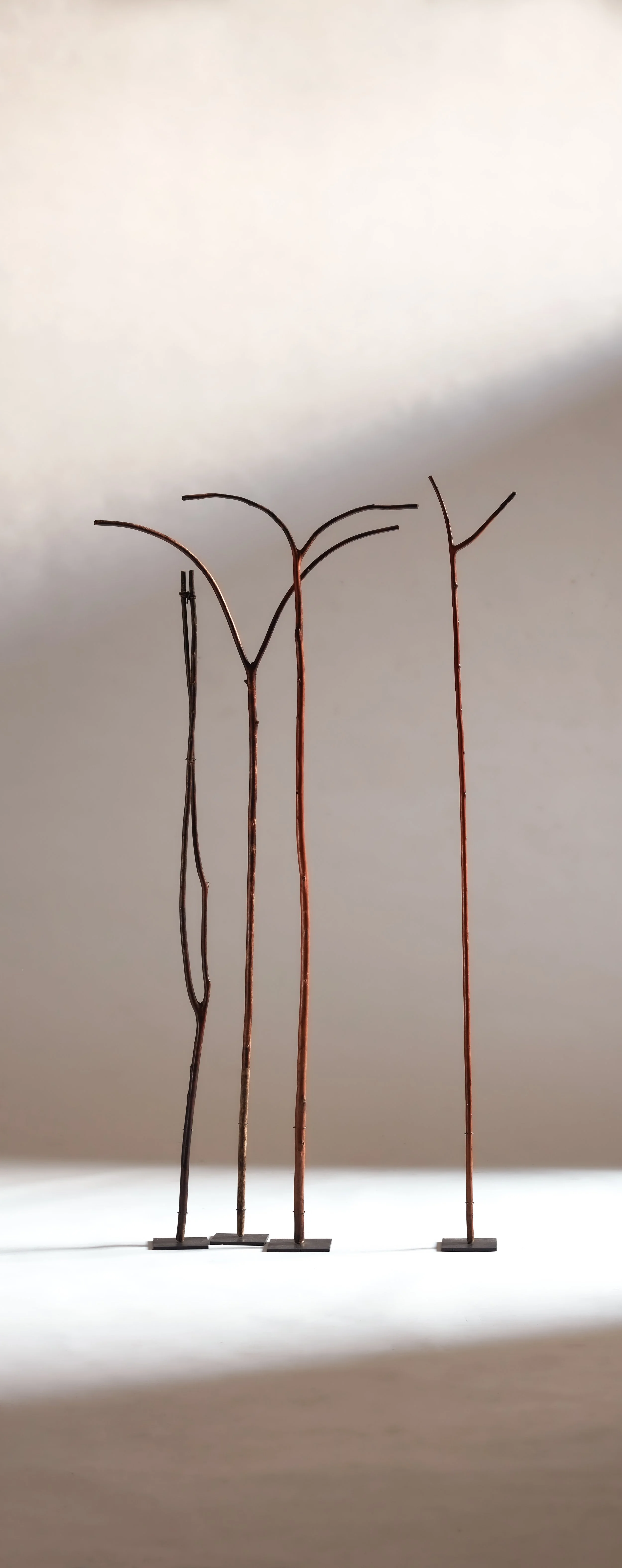 MA 14.08.258231 copy 2v2.jpg