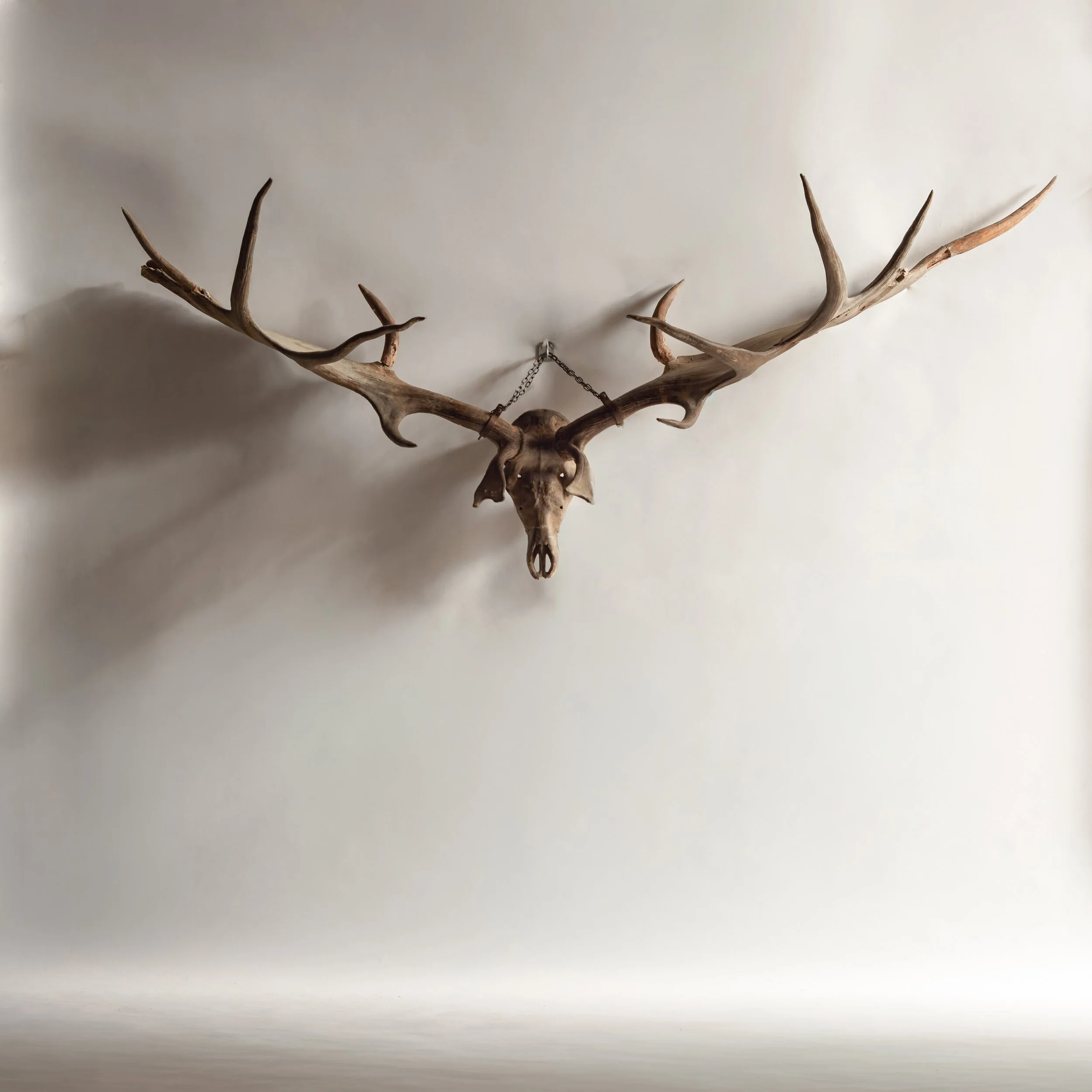 MA 14.08.258011 copy.jpg