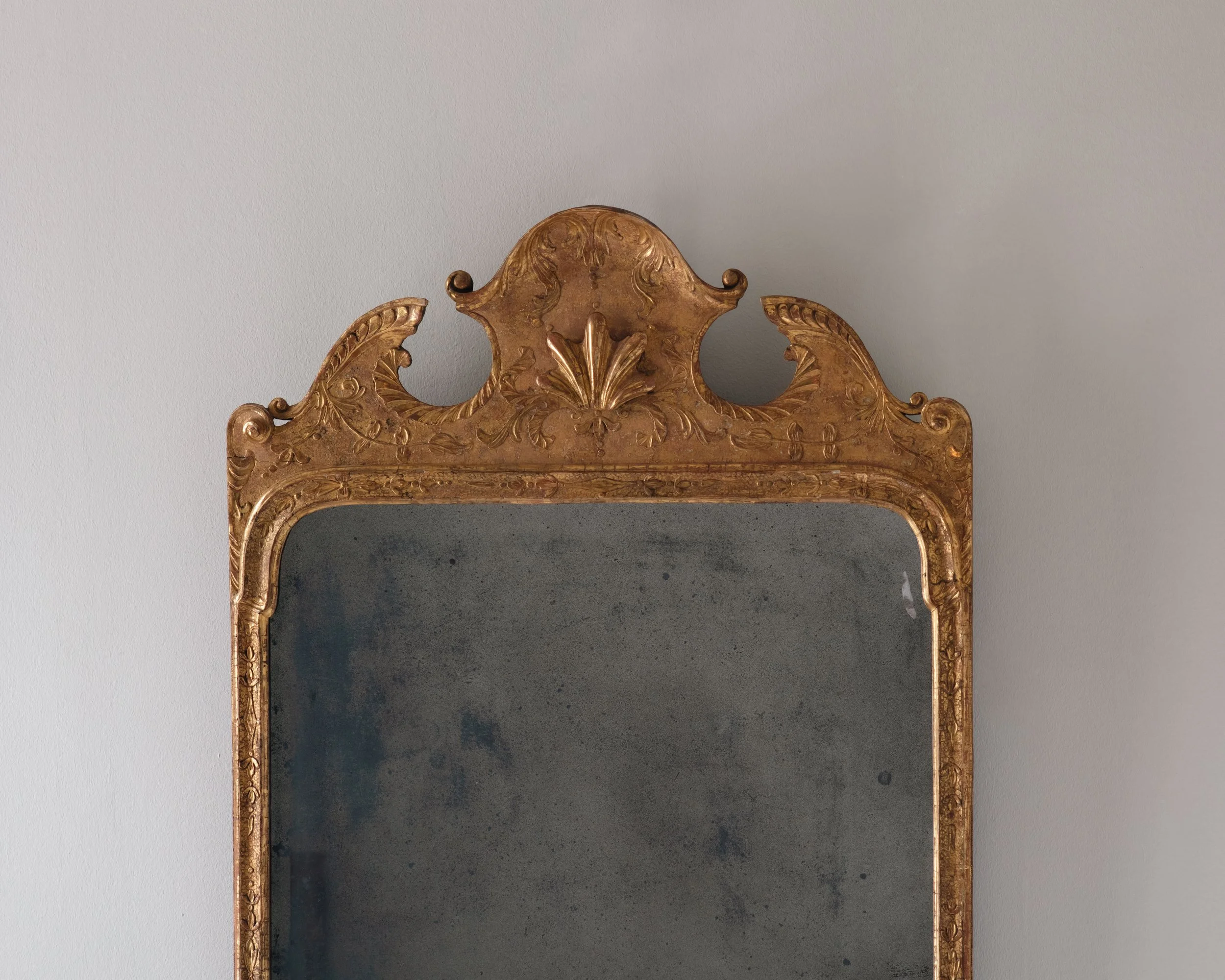 Molly 2026.02.211271.jpg