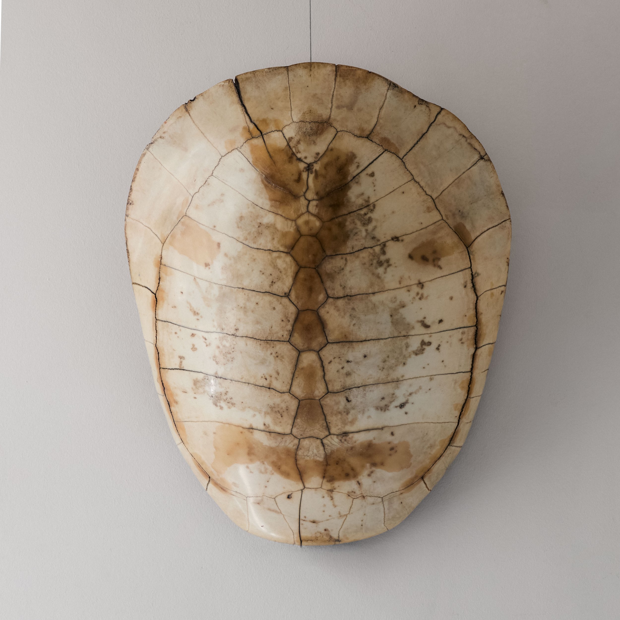 MollyAlexander2026.07.097386.jpg