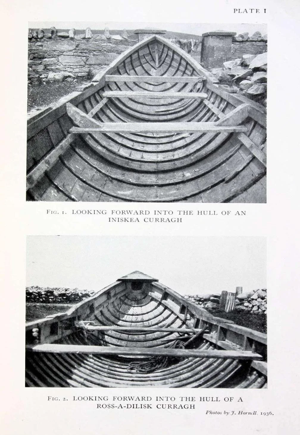 2263e.jpg
