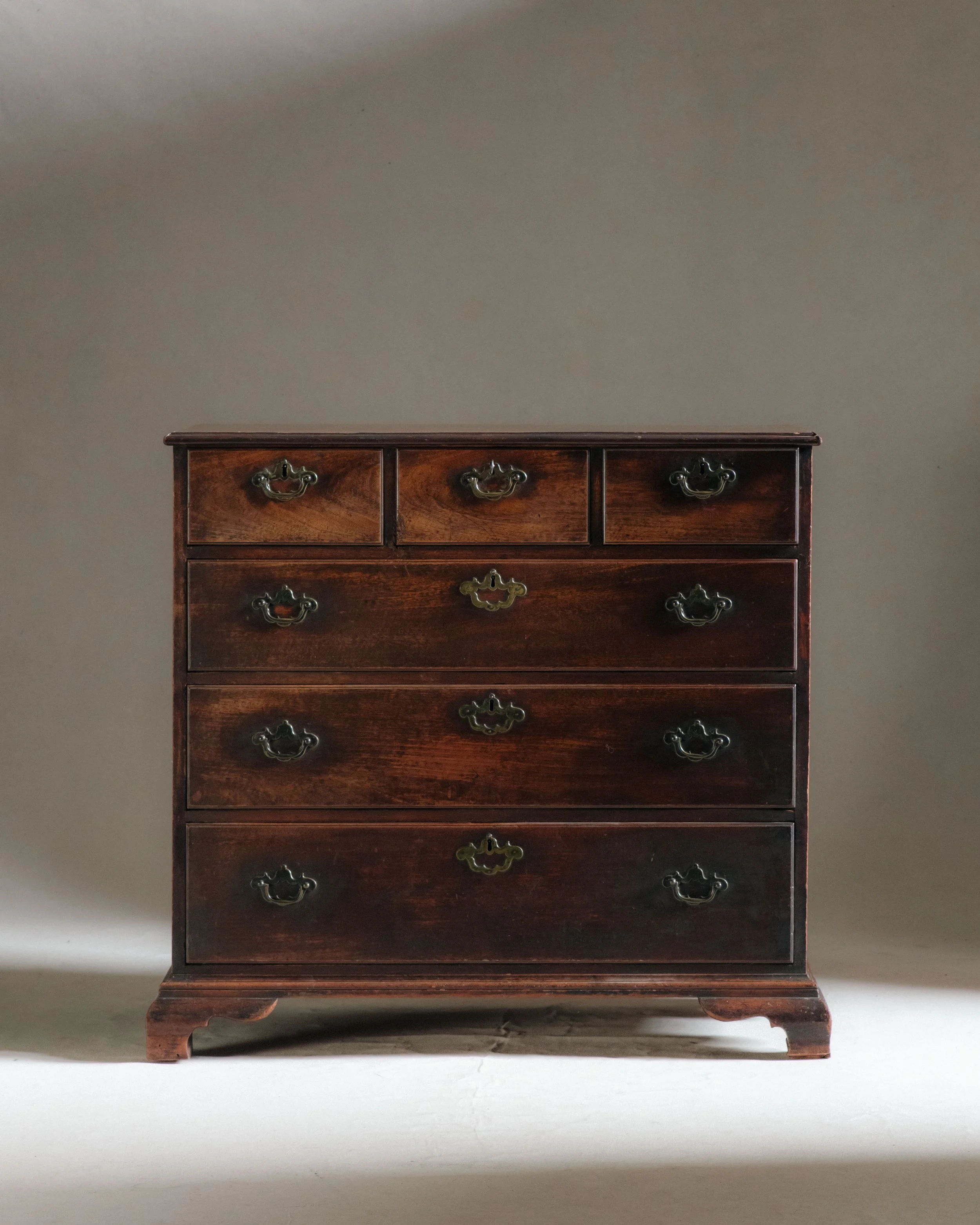 Molly Alexander 2026.03.312952.jpg