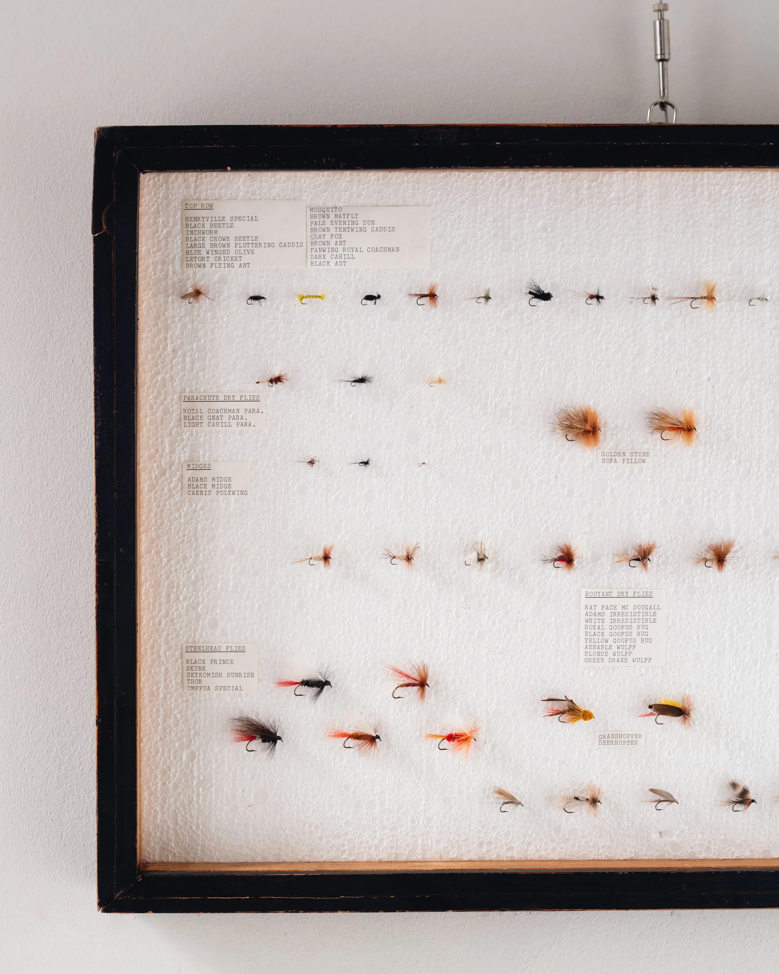 Molly Alexander 2026.03.302698.jpg