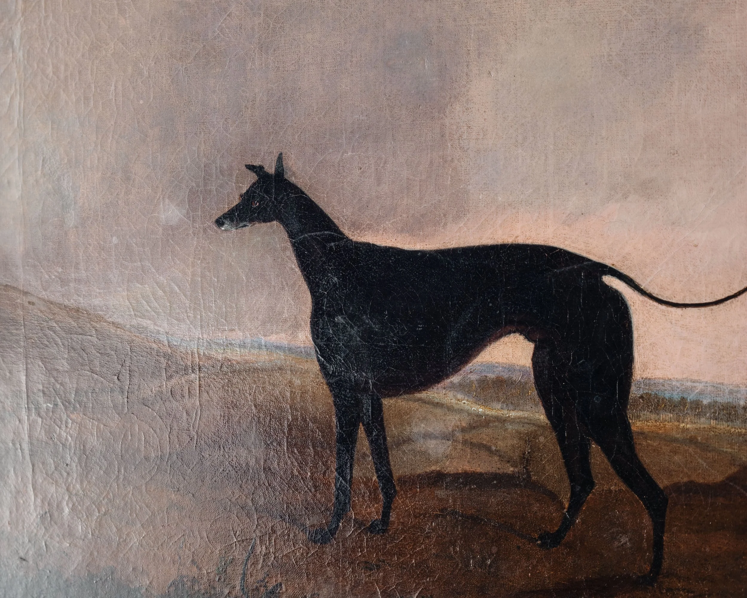 Molly Alexander 2026.03.302593.jpg