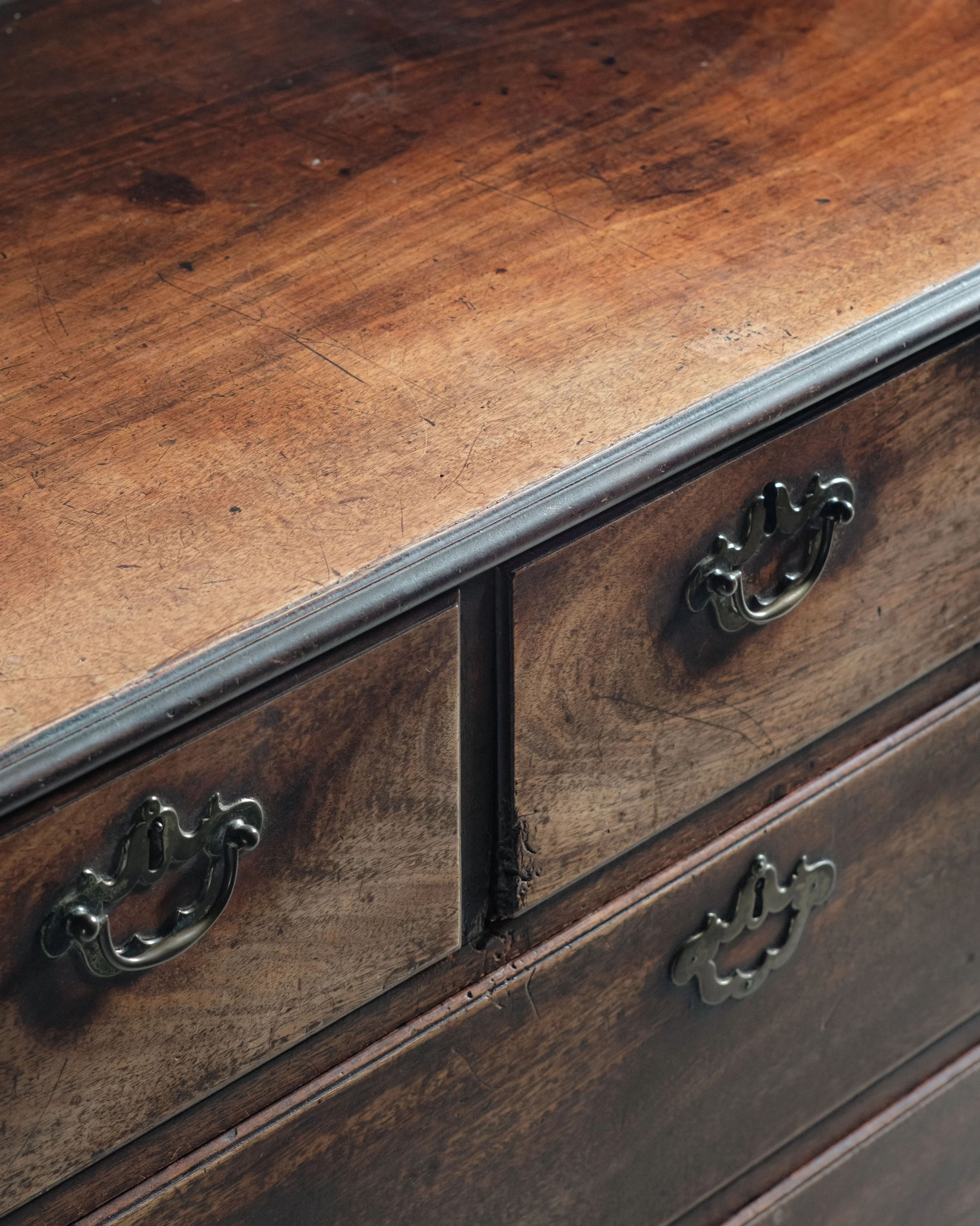 Molly Alexander 2026.03.312958.jpg