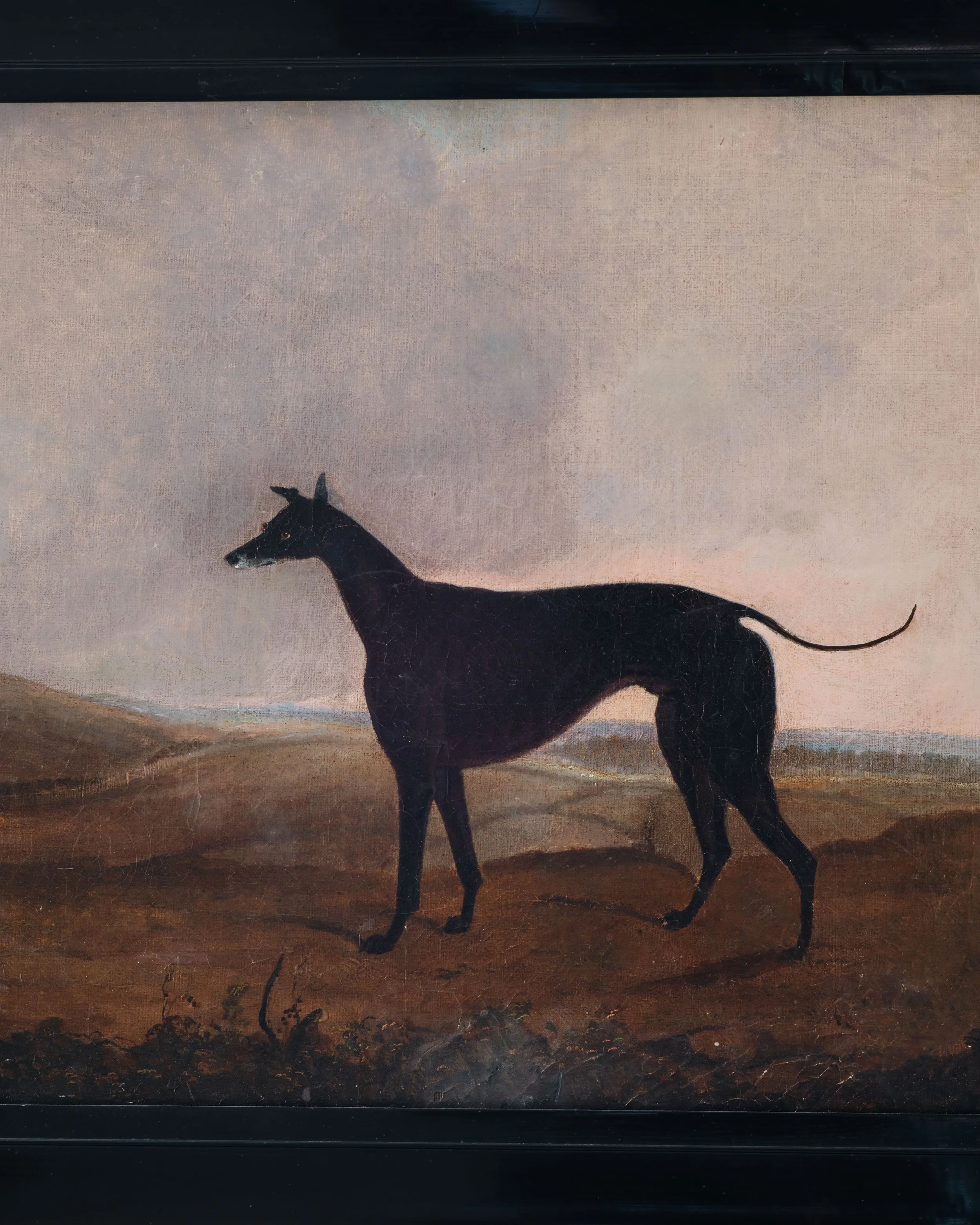 Molly Alexander 2026.03.302591.jpg