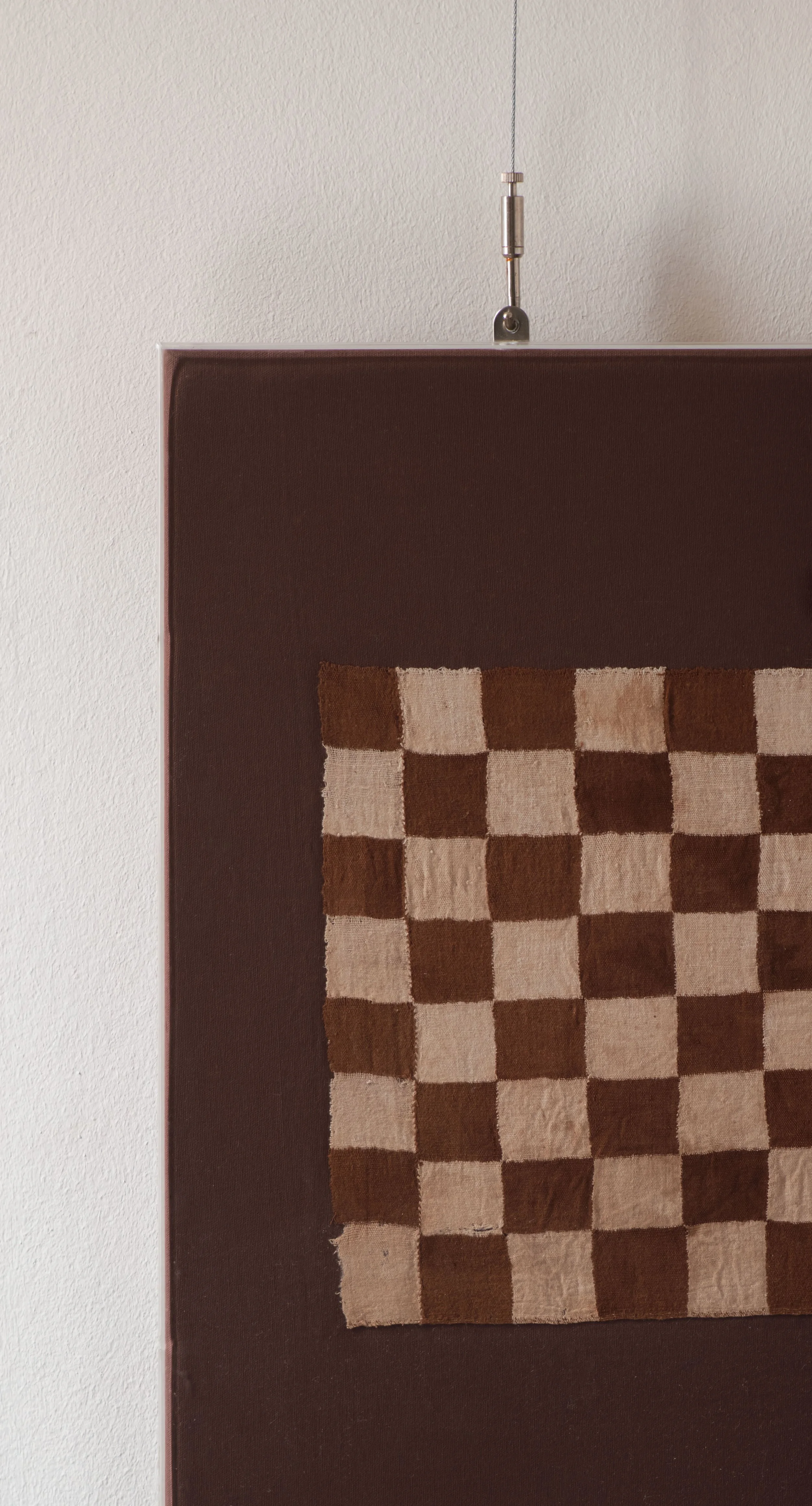 Molly 2026.02.211403.jpg