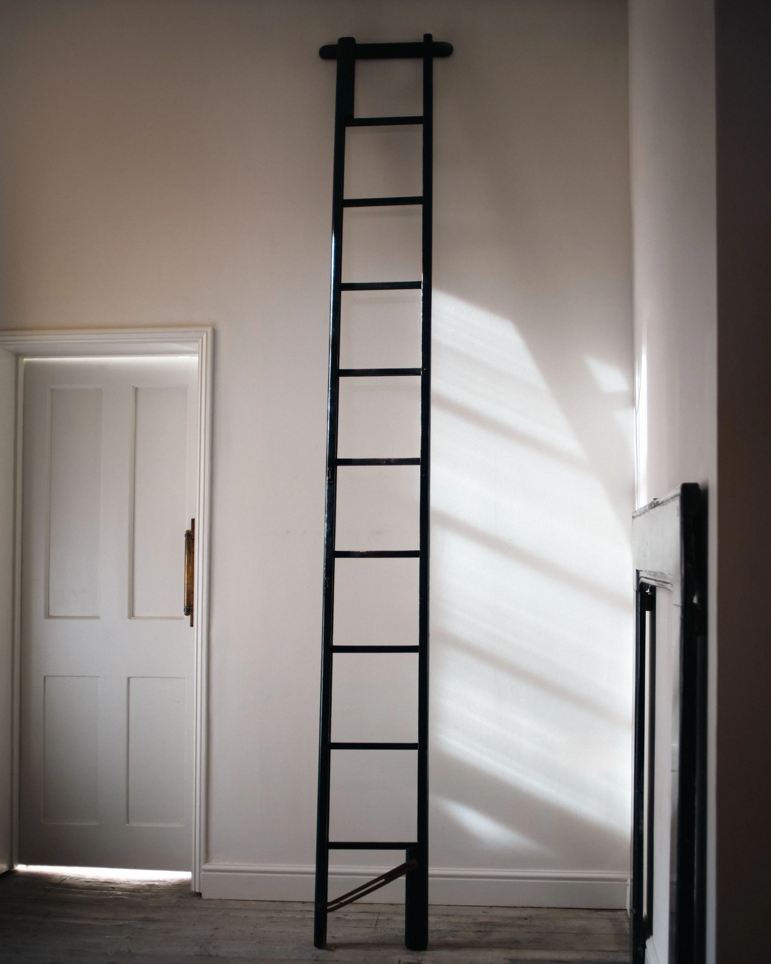 Molly Alexander 2026.03.302673.jpg