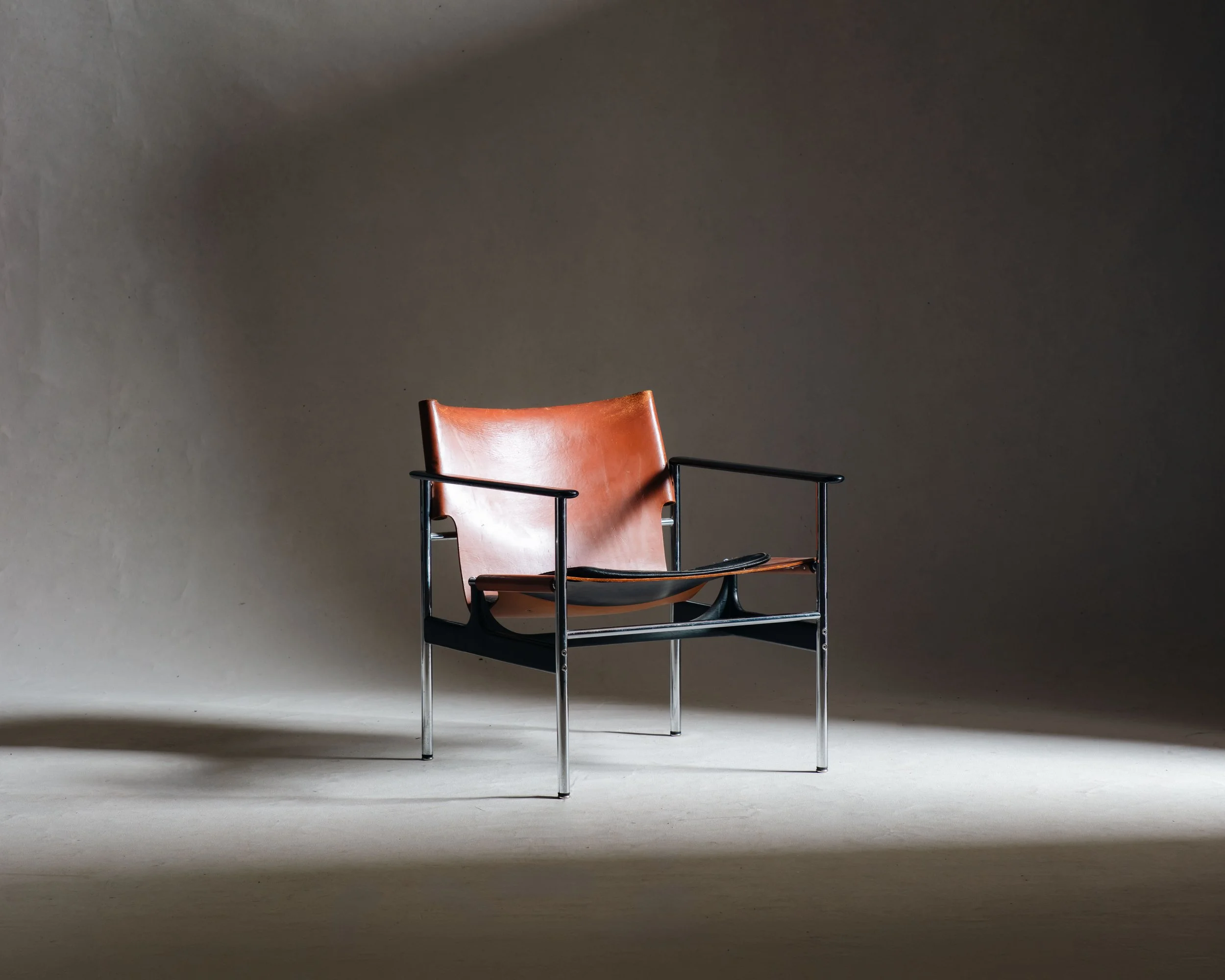 Molly Alexander 2026.03.312853.jpg