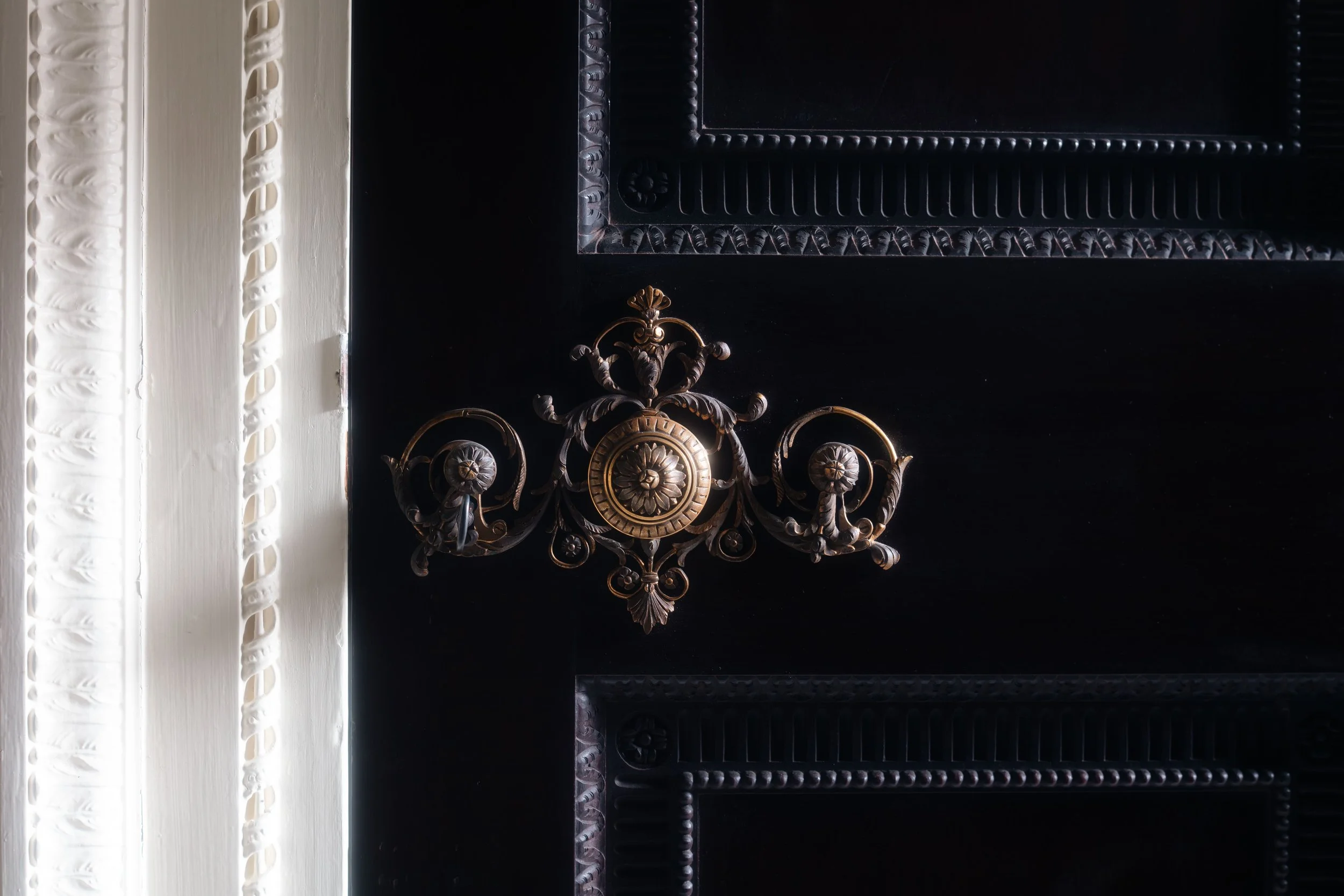 Molly Alexander 2026.03.312768.jpg