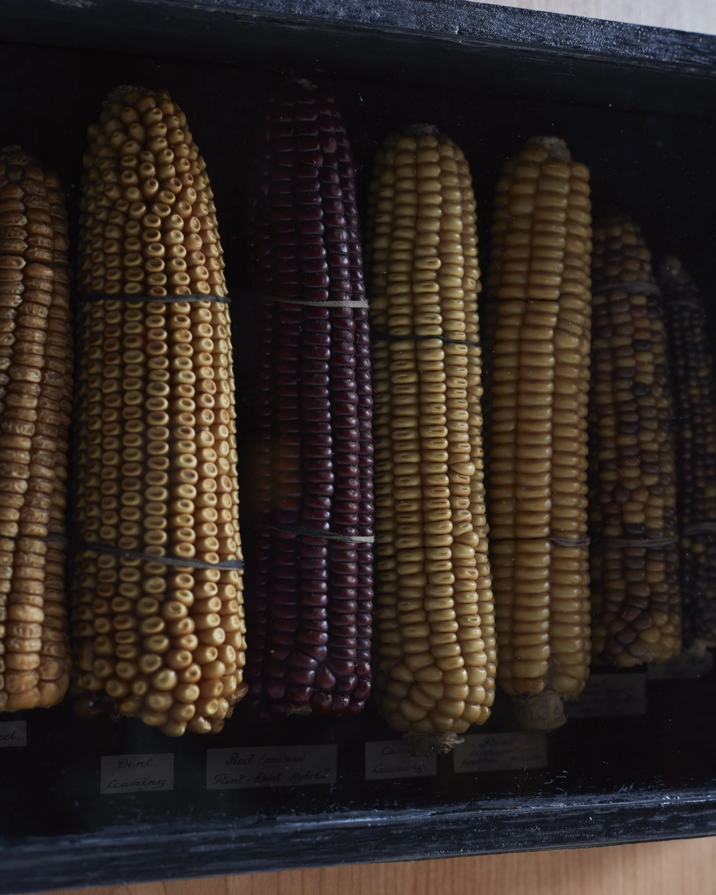 MA 23.10.250233 copyRT.jpg