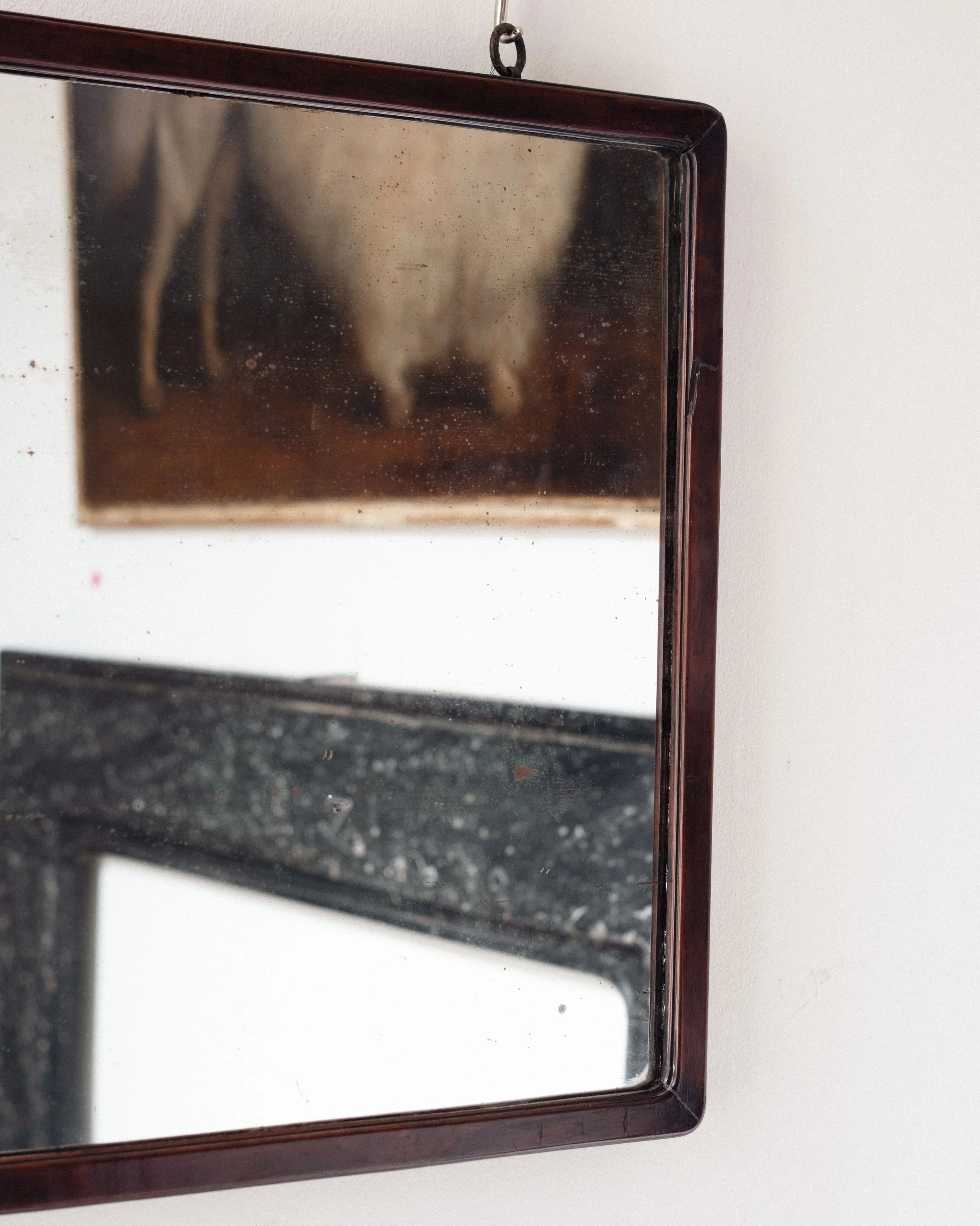 Molly Alexander 2026.03.302642.jpg