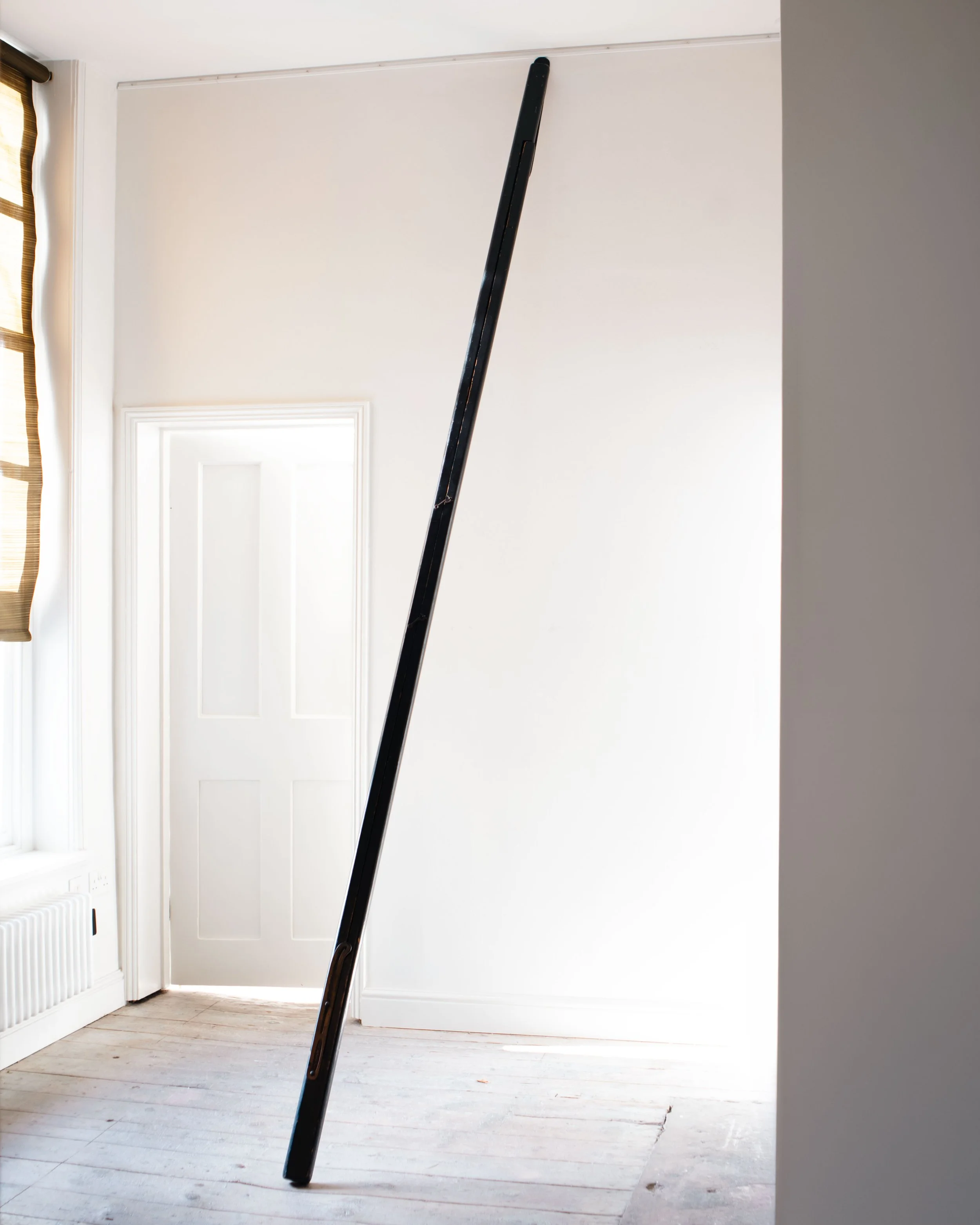 Molly Alexander 2026.03.302683.jpg