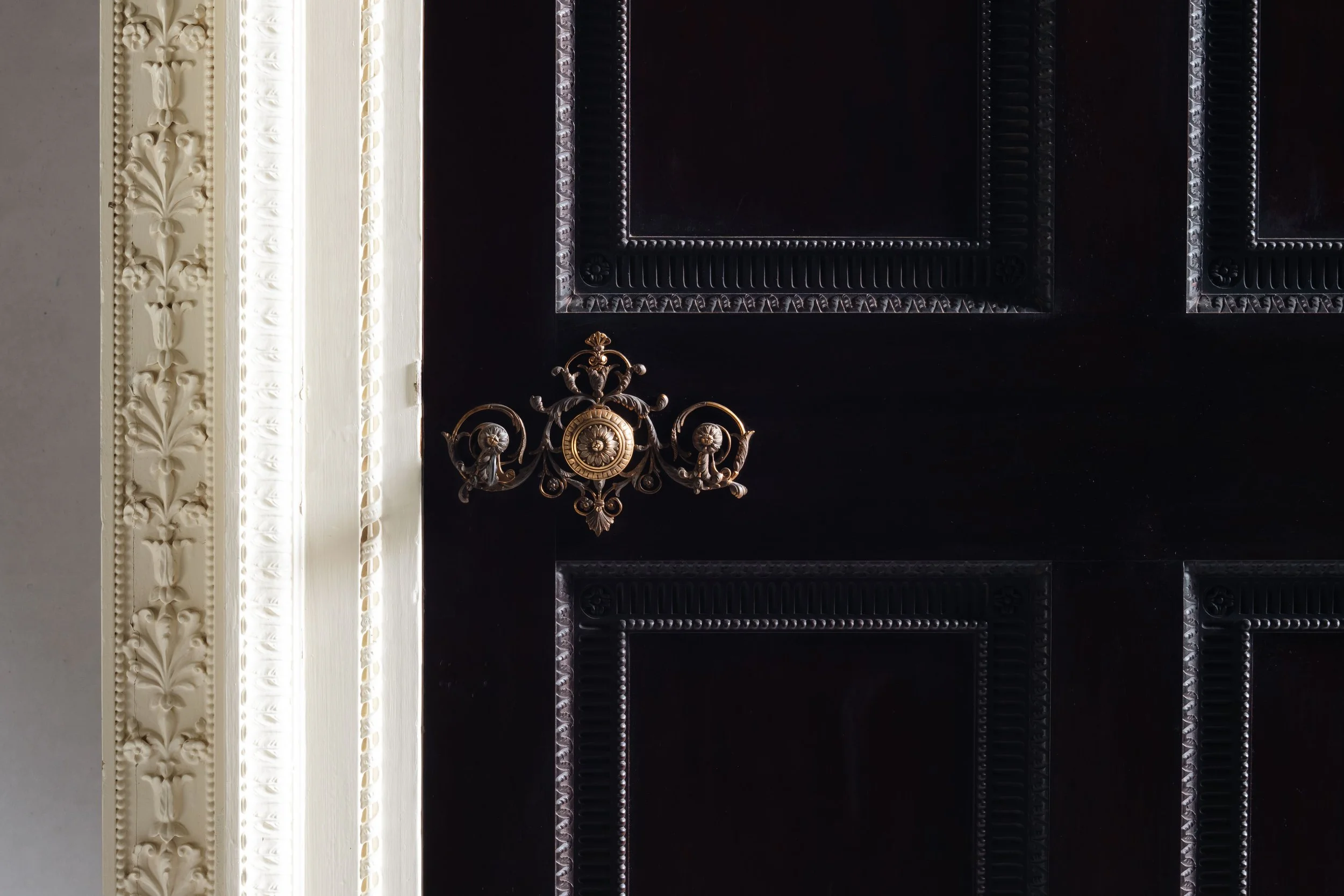 Molly Alexander 2026.03.312763.jpg