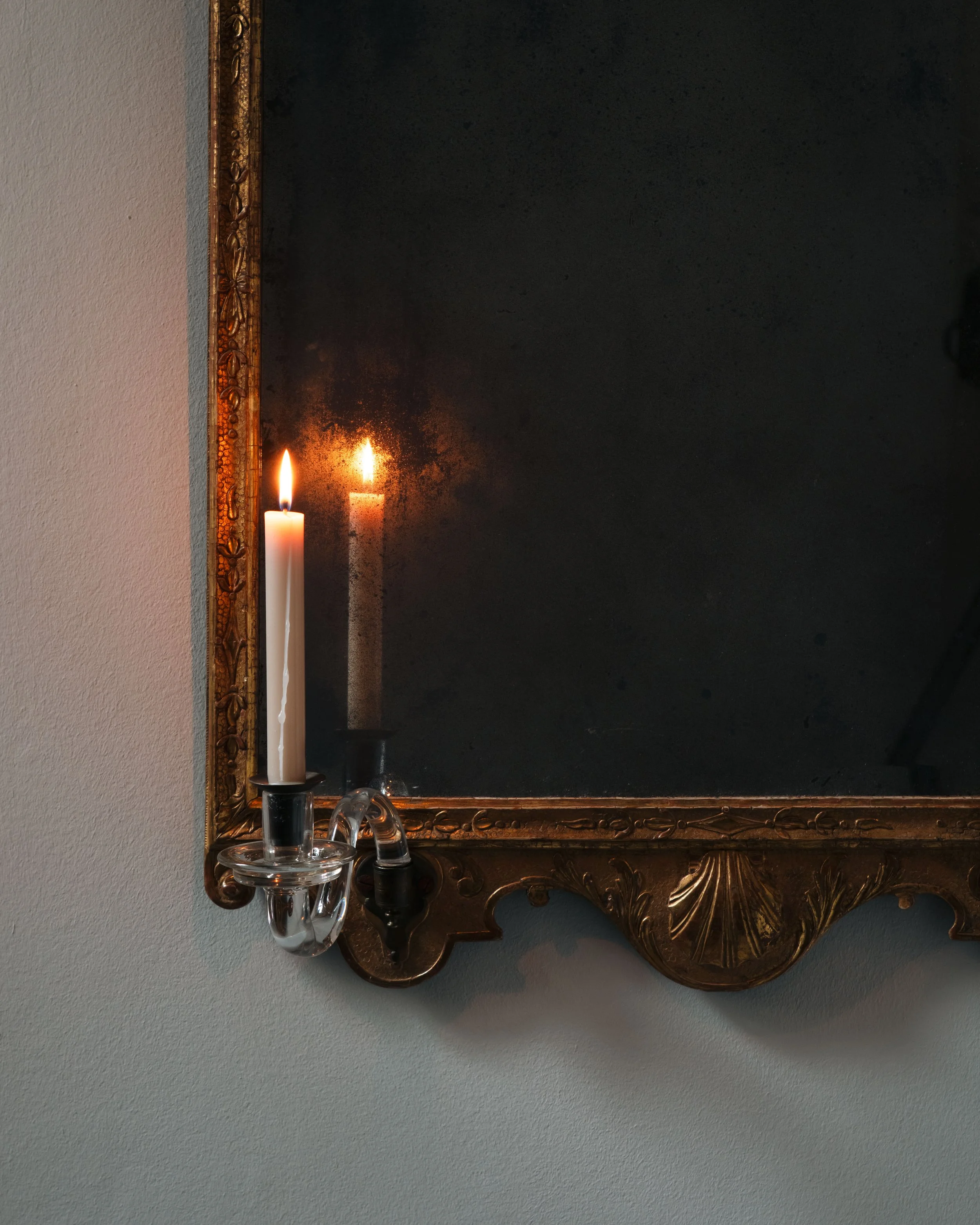 Molly 2026.02.211265.jpg