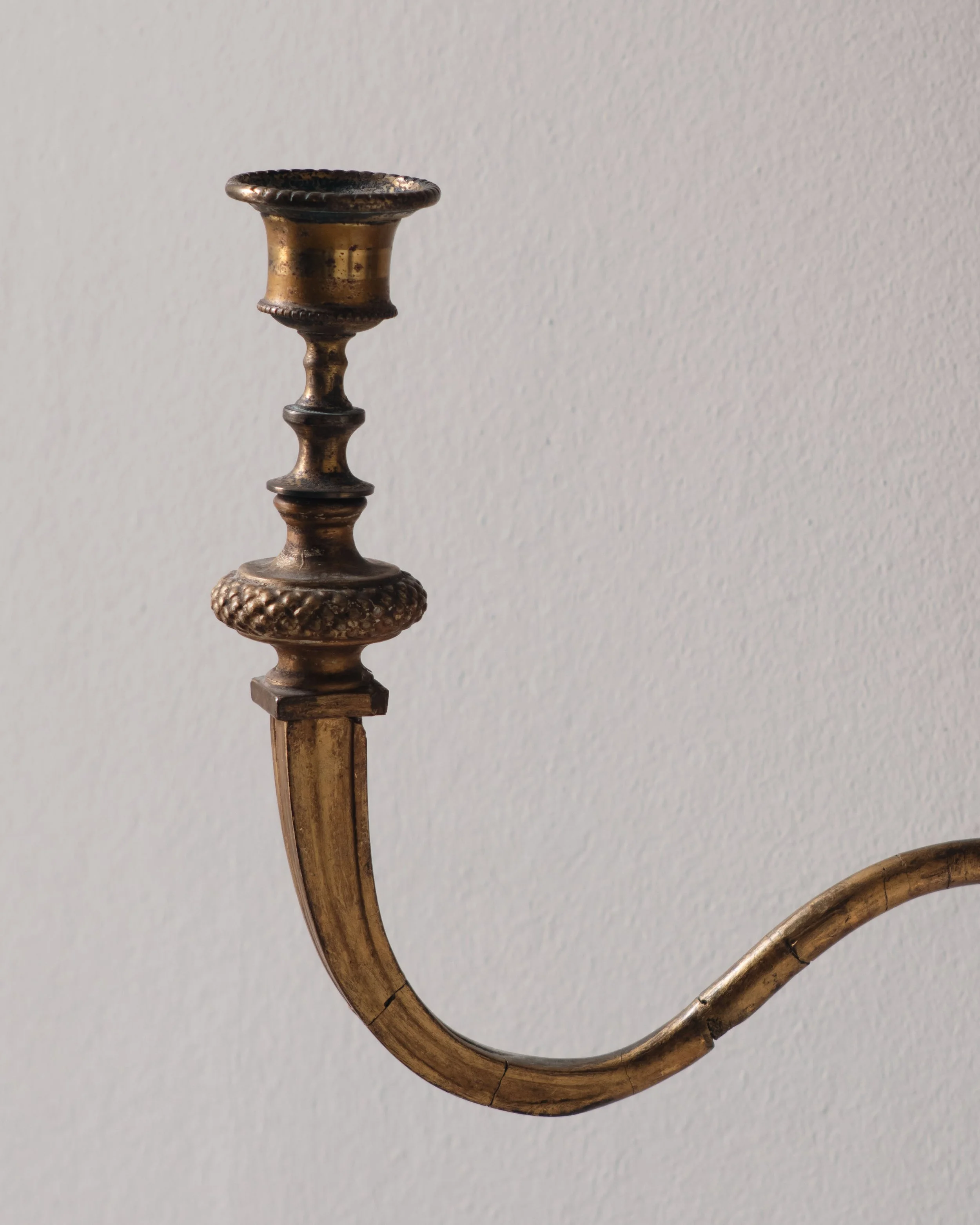 Molly 2026.02.211317.jpg