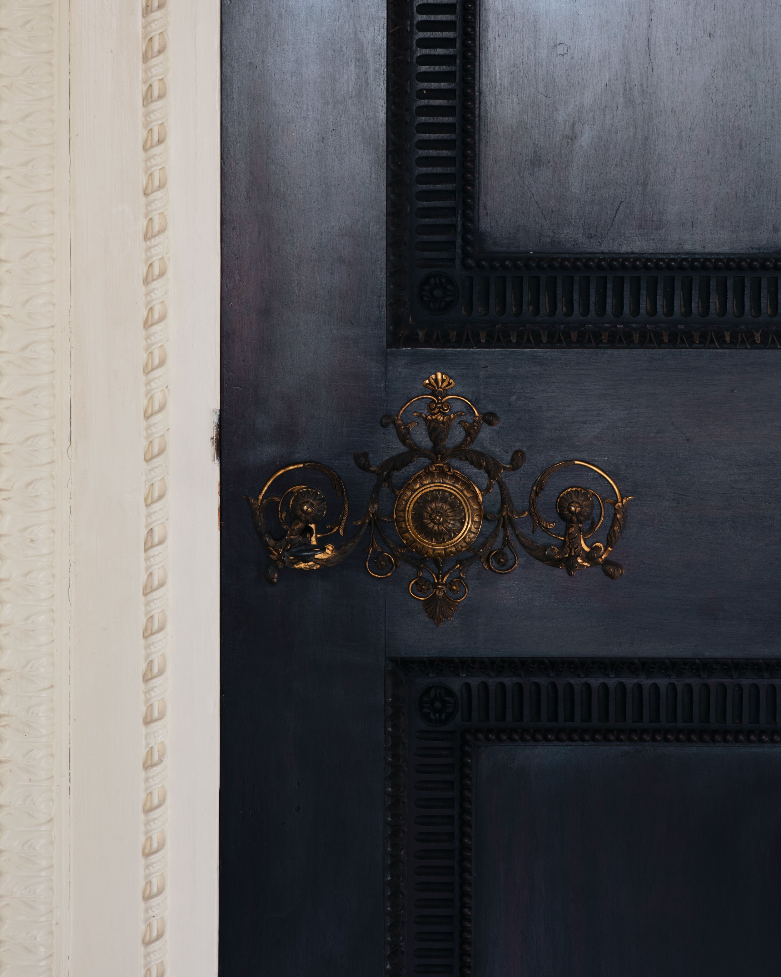 Molly 2026.02.211471 copy.jpg