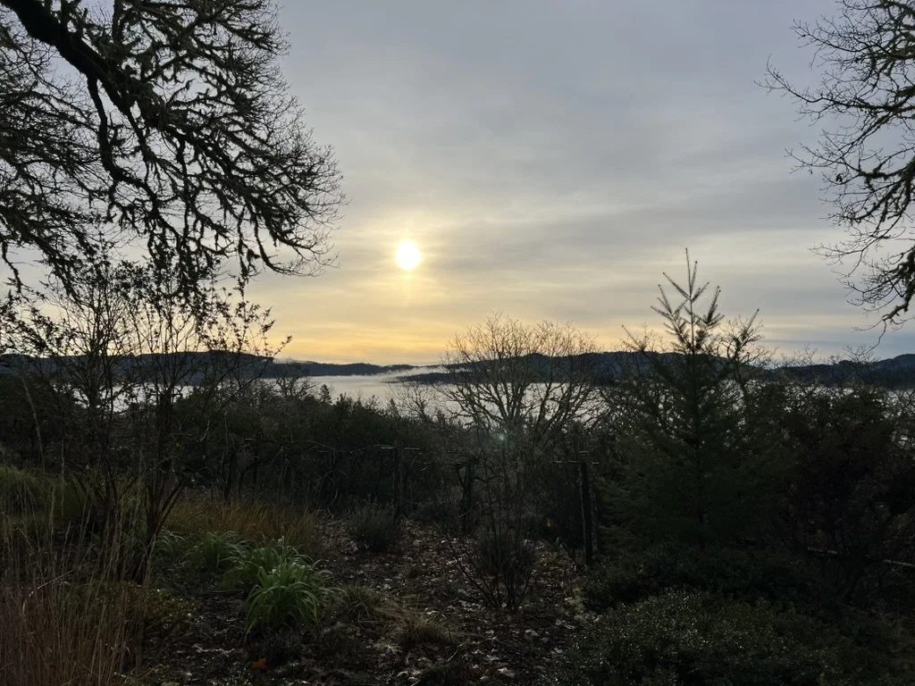 Lent: an opportunity to “Be Still”