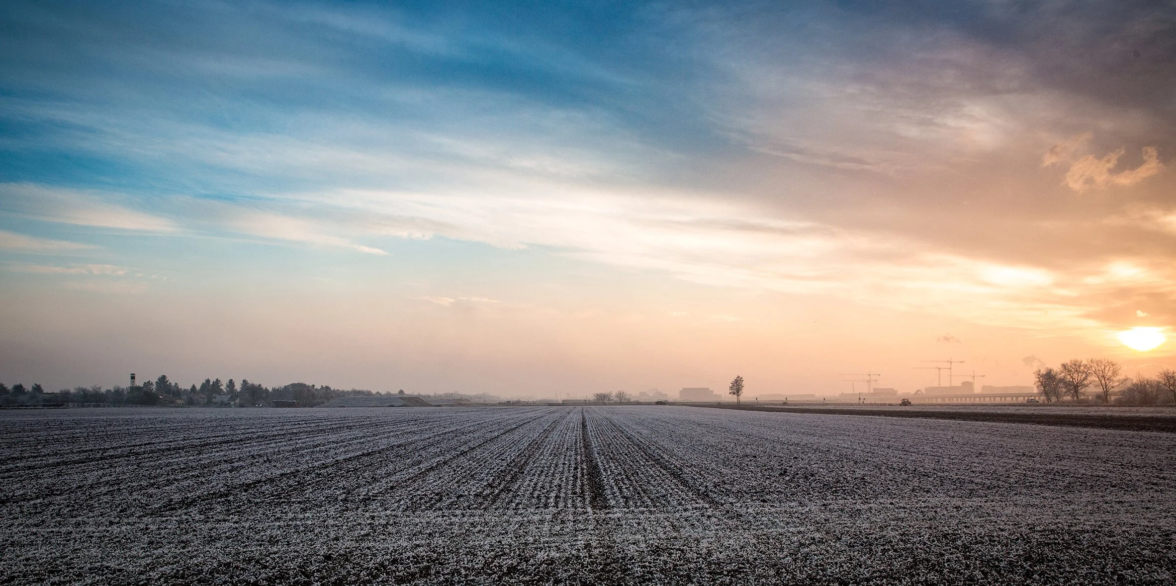 Bleibt die Natur - Essling 2019 - € 180,00