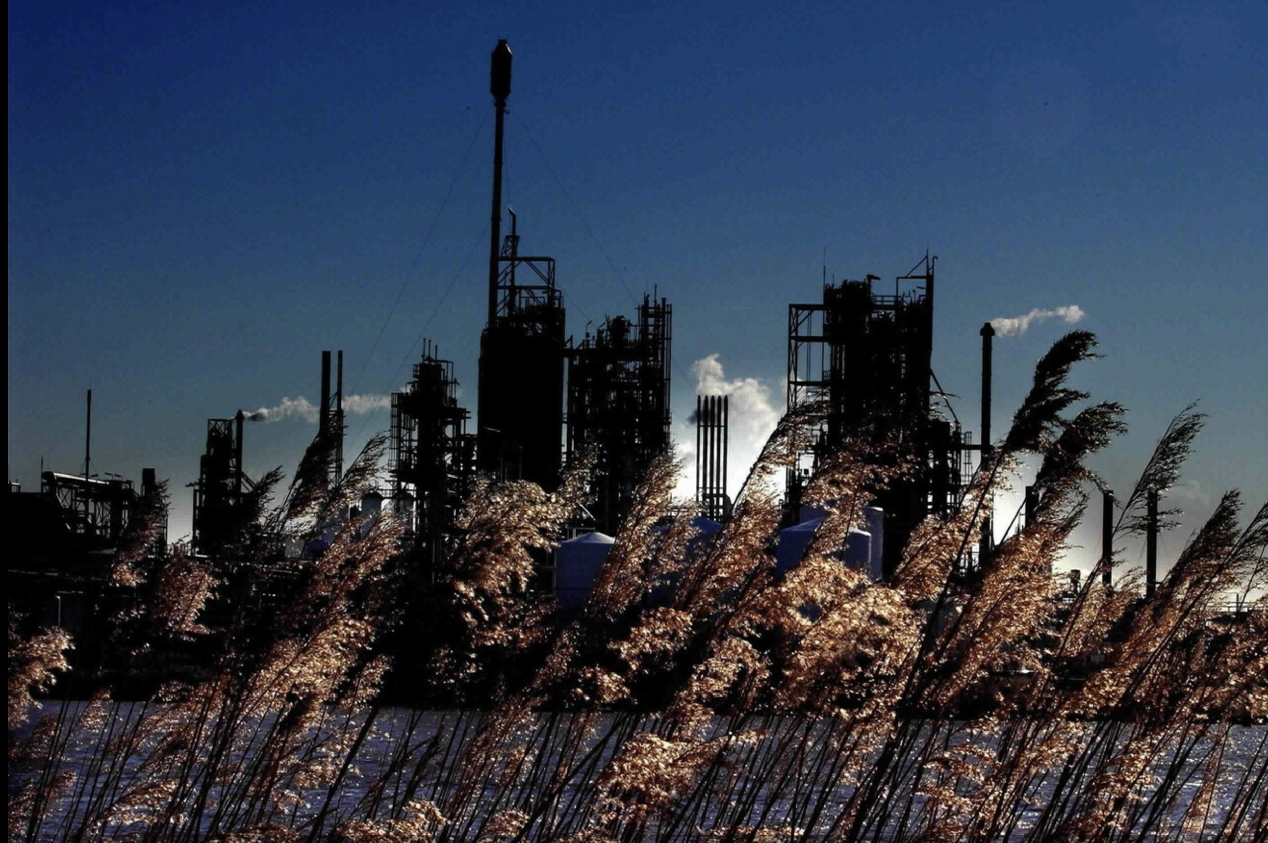 Scherm­afbeelding 2025-02-01 om 16.16.06.png