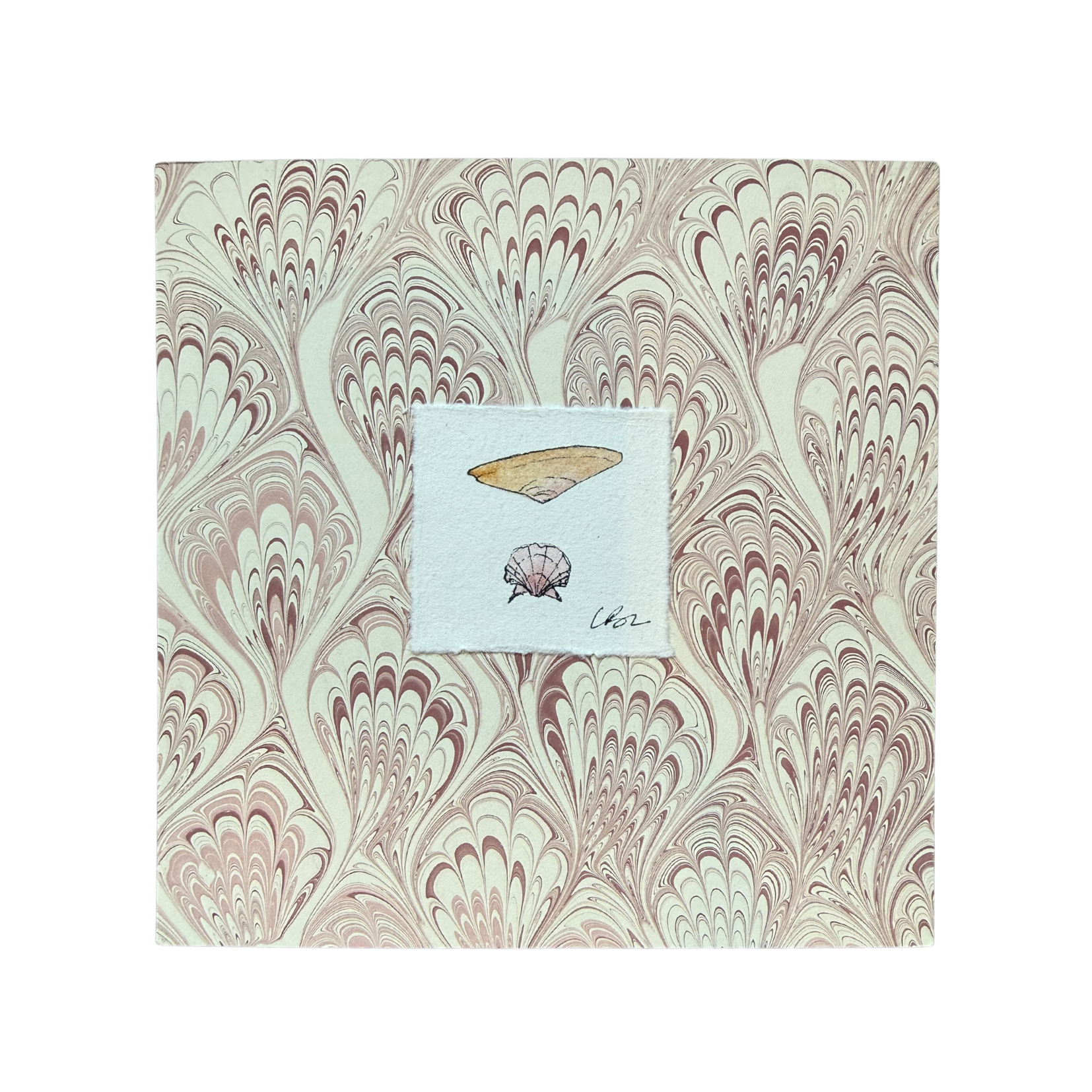 Nantucket Shells - Tan