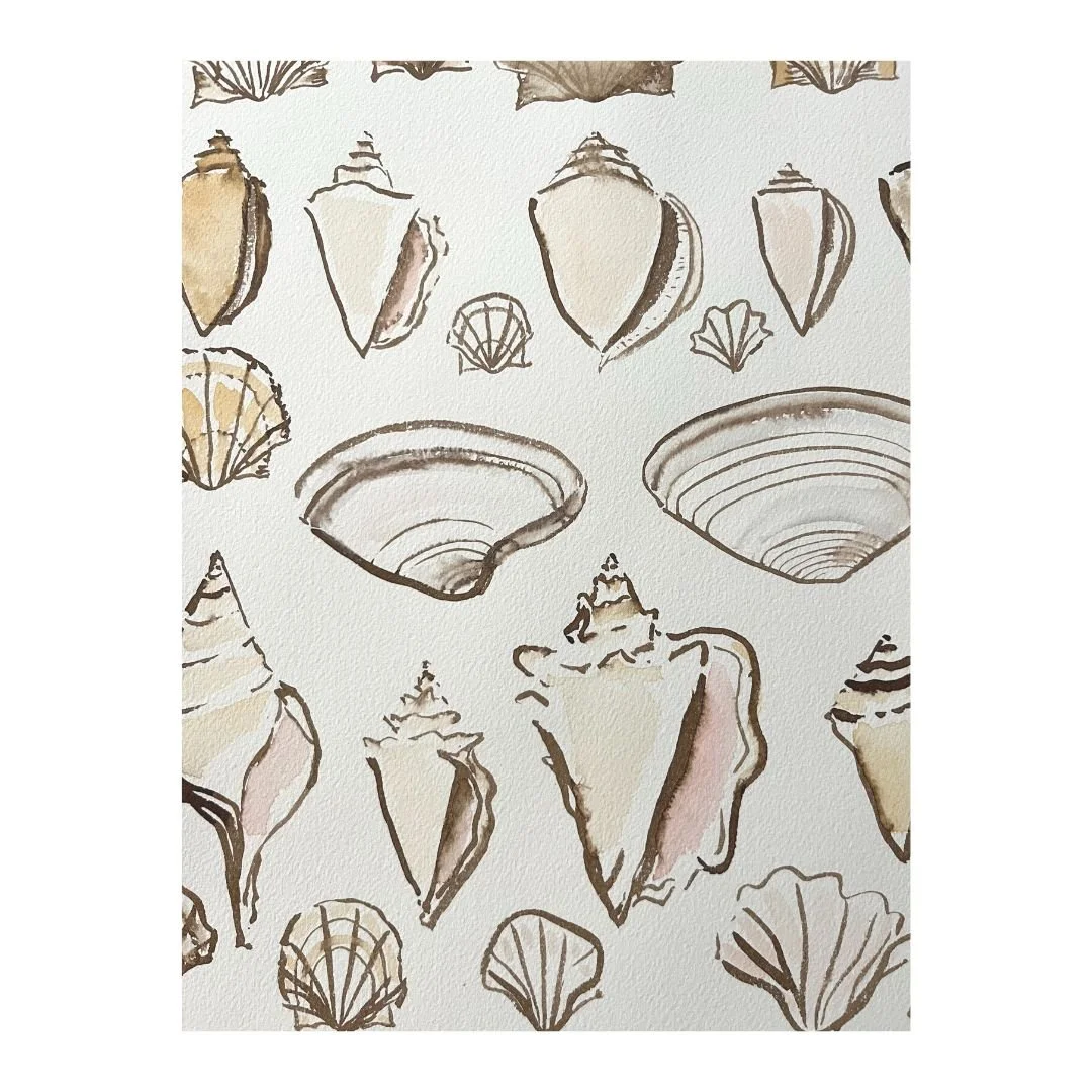 Shell Design Brown Ink Shells in Brown Ink — Lia Burke Libaire Art and Design