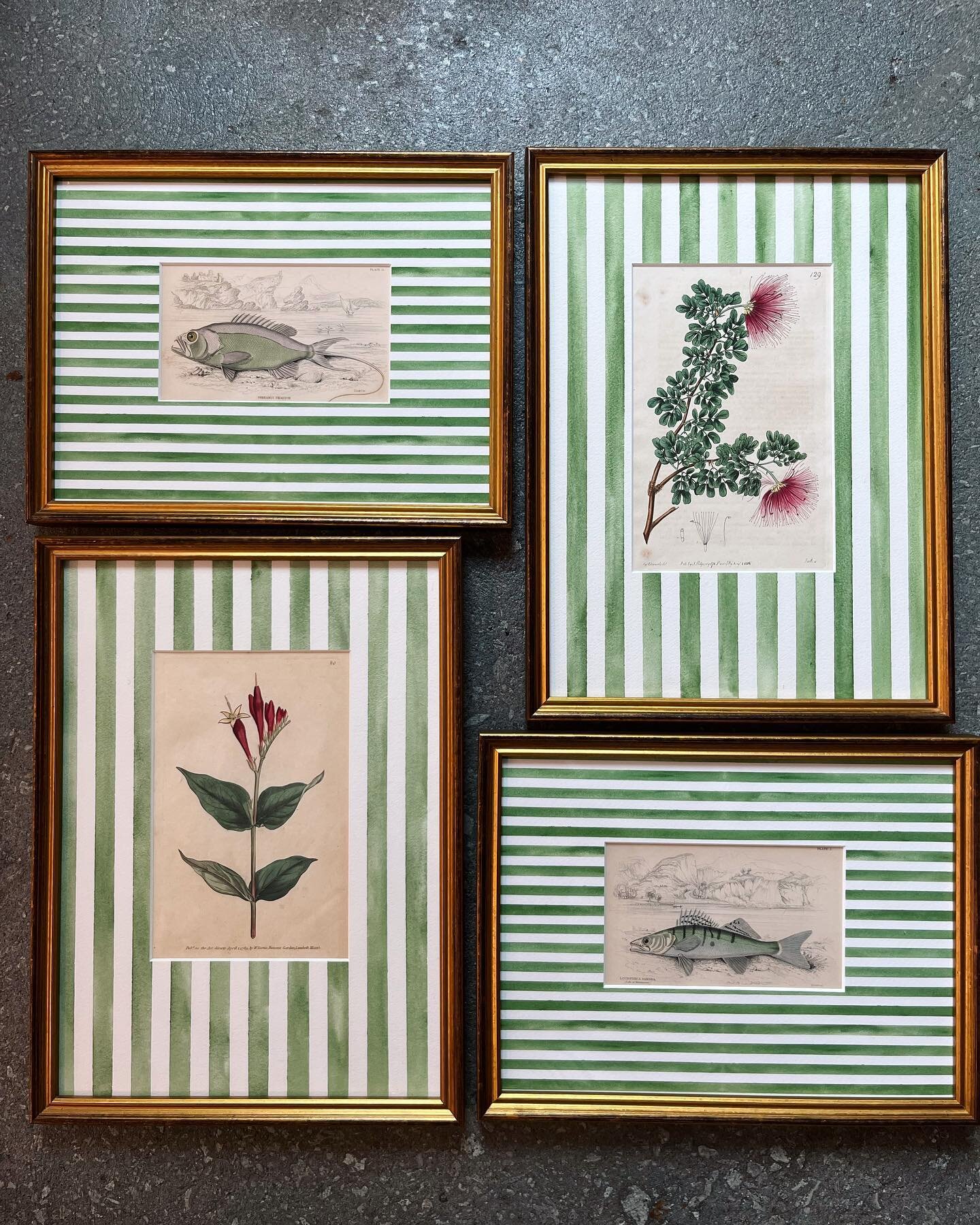 Some new thangs for you.
.
.
.
#mushroomart #stripesonstripes #botanicalart #botanicalillustration #botanicalartlovers #marbledpaper #antiqueprints #butterflies #🍄 #🦋