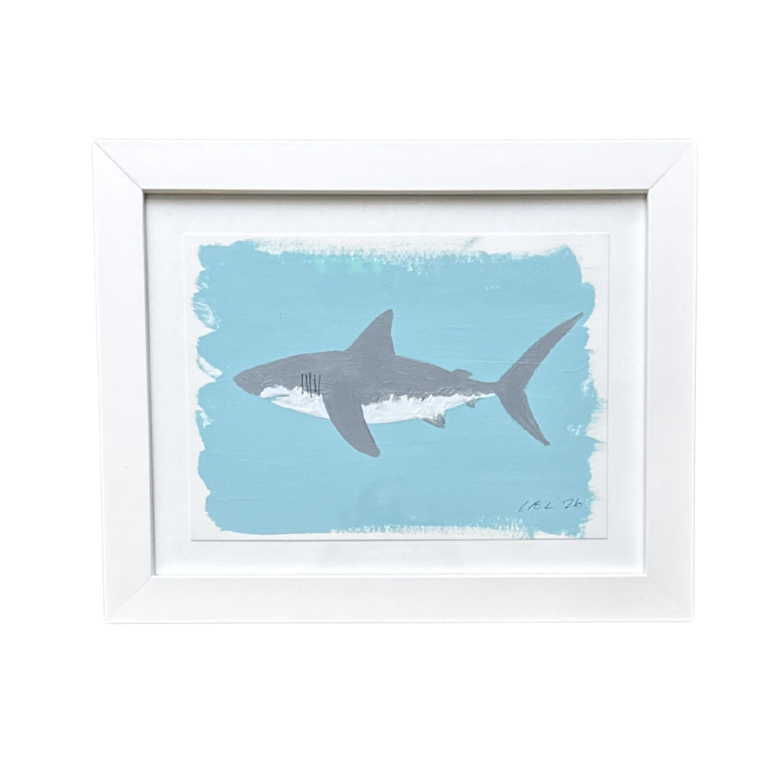 Sky Blue Shark