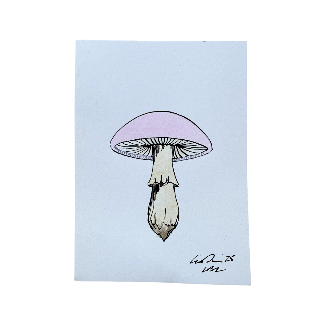 Blush Pink Cap Shroom